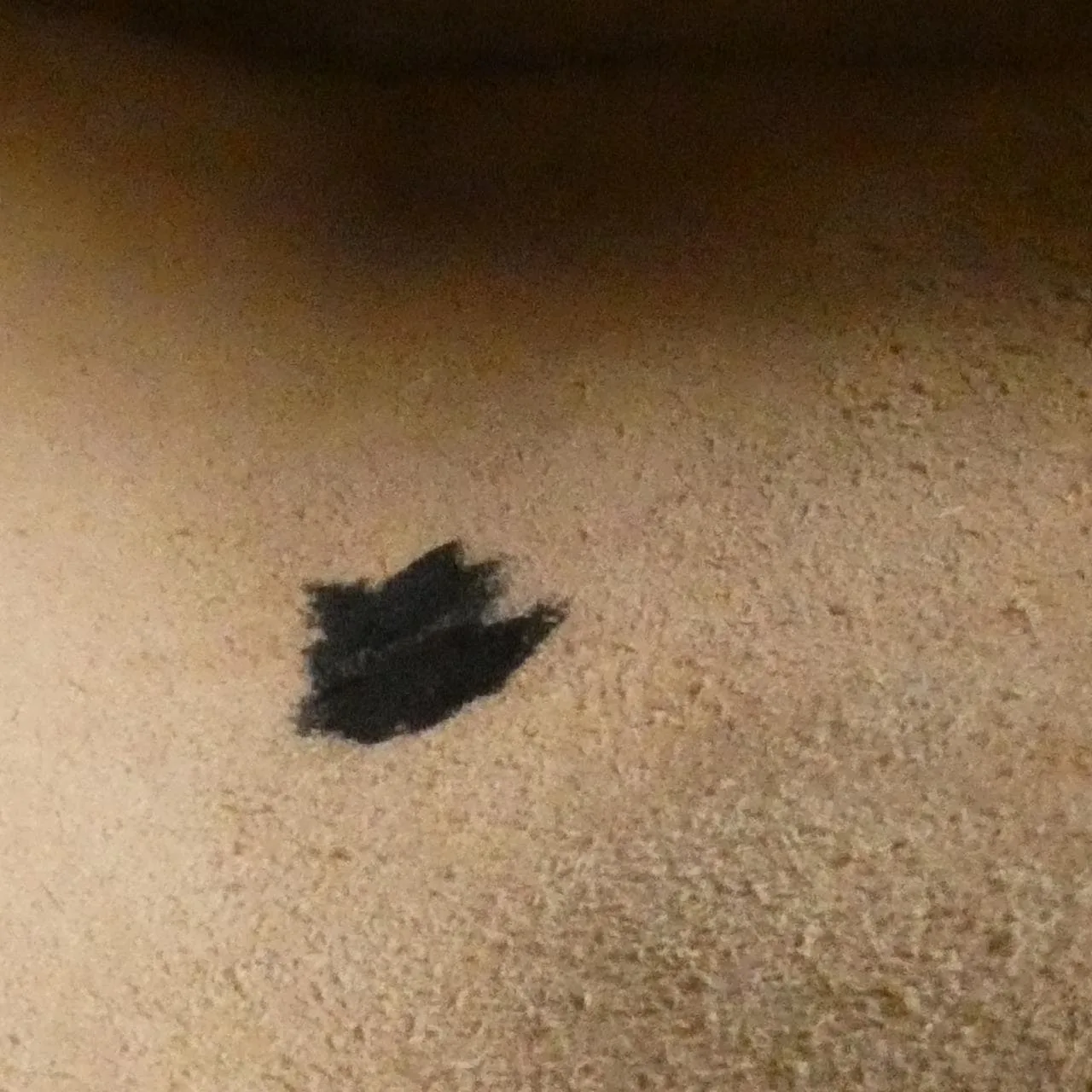 GUCCI GG Marmont 448065 DTD1T Shoulder Leather Black Leather Rank B - Thumbnail 10