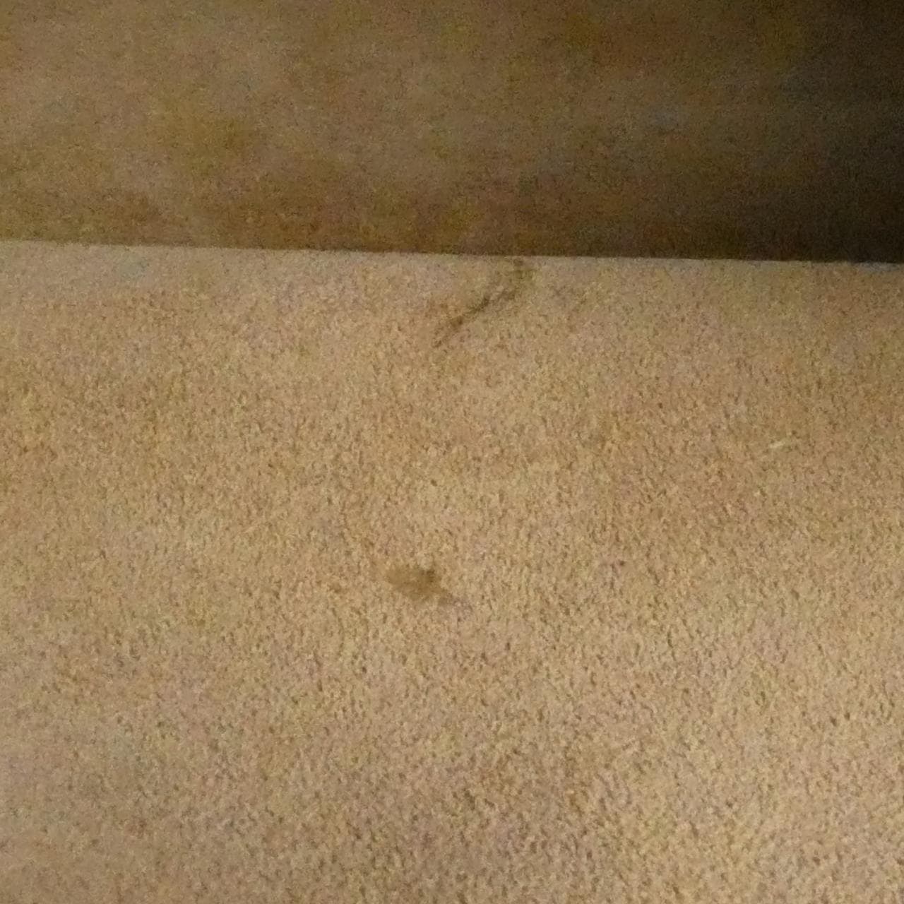 LOEWE Gate 321 12 Z99 Bag Black - Thumbnail 10