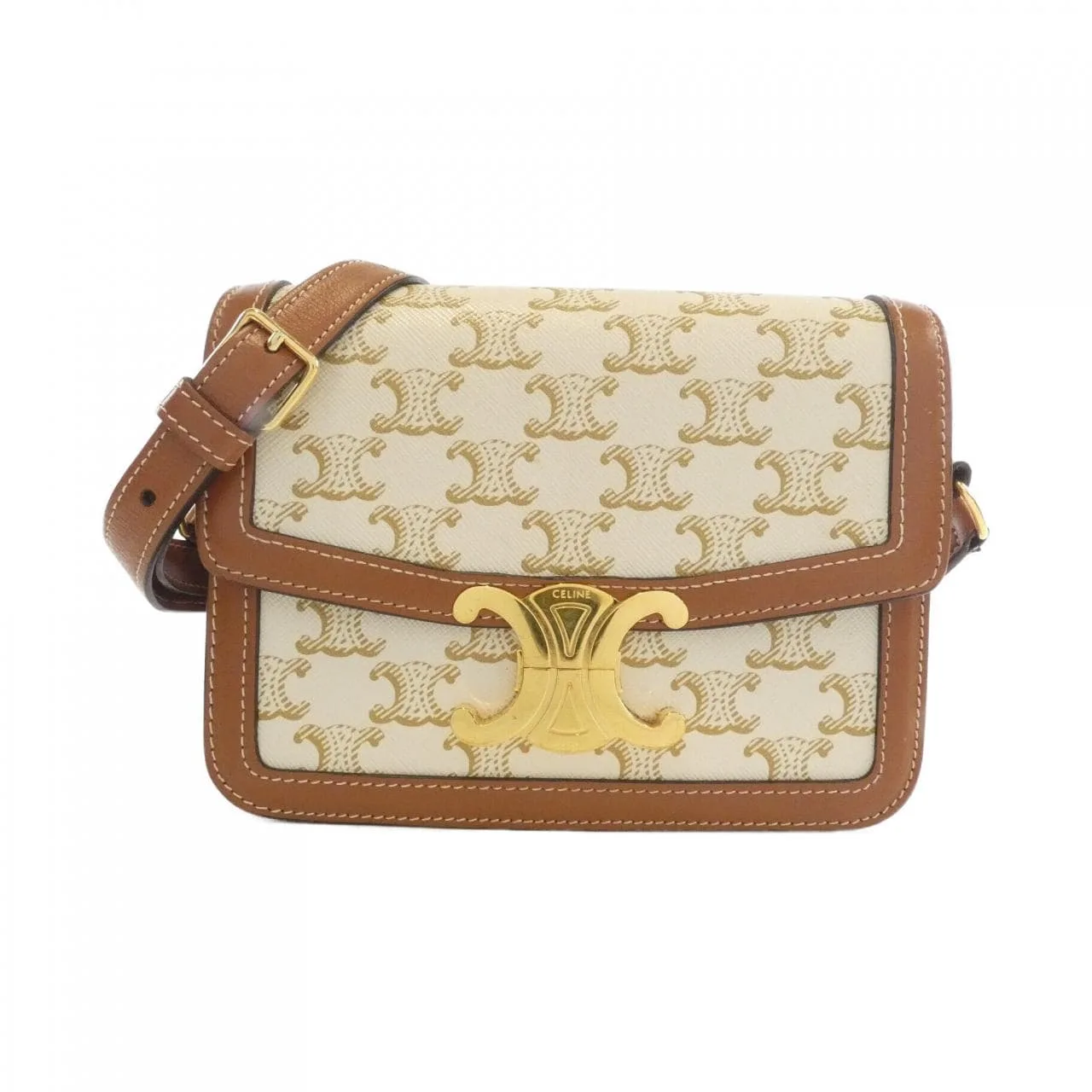 CELINE Triomphe 188882BZ4 Shoulder Canvas