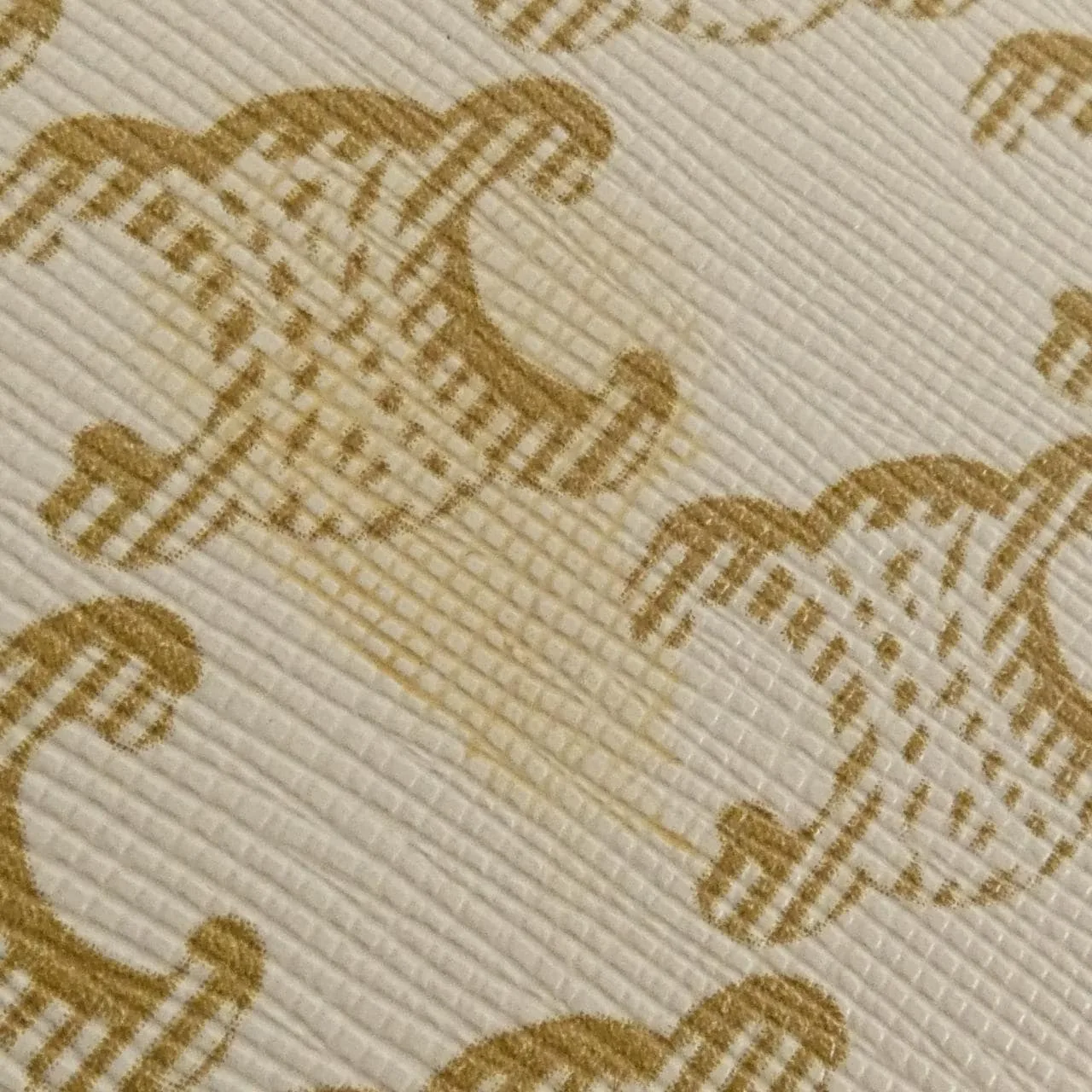 CELINE Triomphe 188882BZ4 Shoulder Canvas 黑色 帆布 中古品B - 縮圖 4