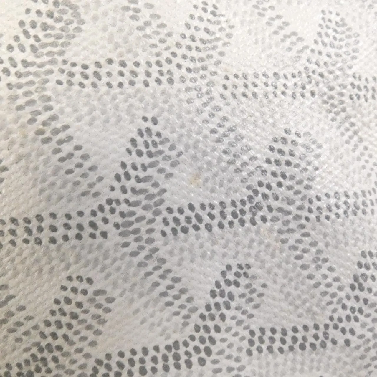 GOYARD Saint Louis AMA LOUIS JU Tote Canvas 白色 帆布 中古品B - 縮圖 5