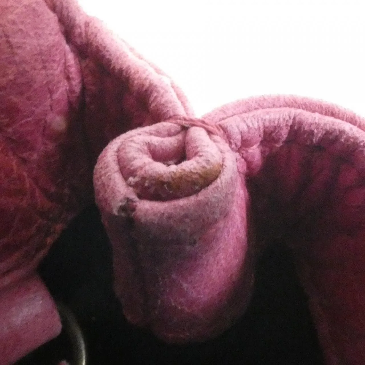 BALENCIAGA 224895 Pouch Leather Pink Leather Rank B - Thumbnail 7