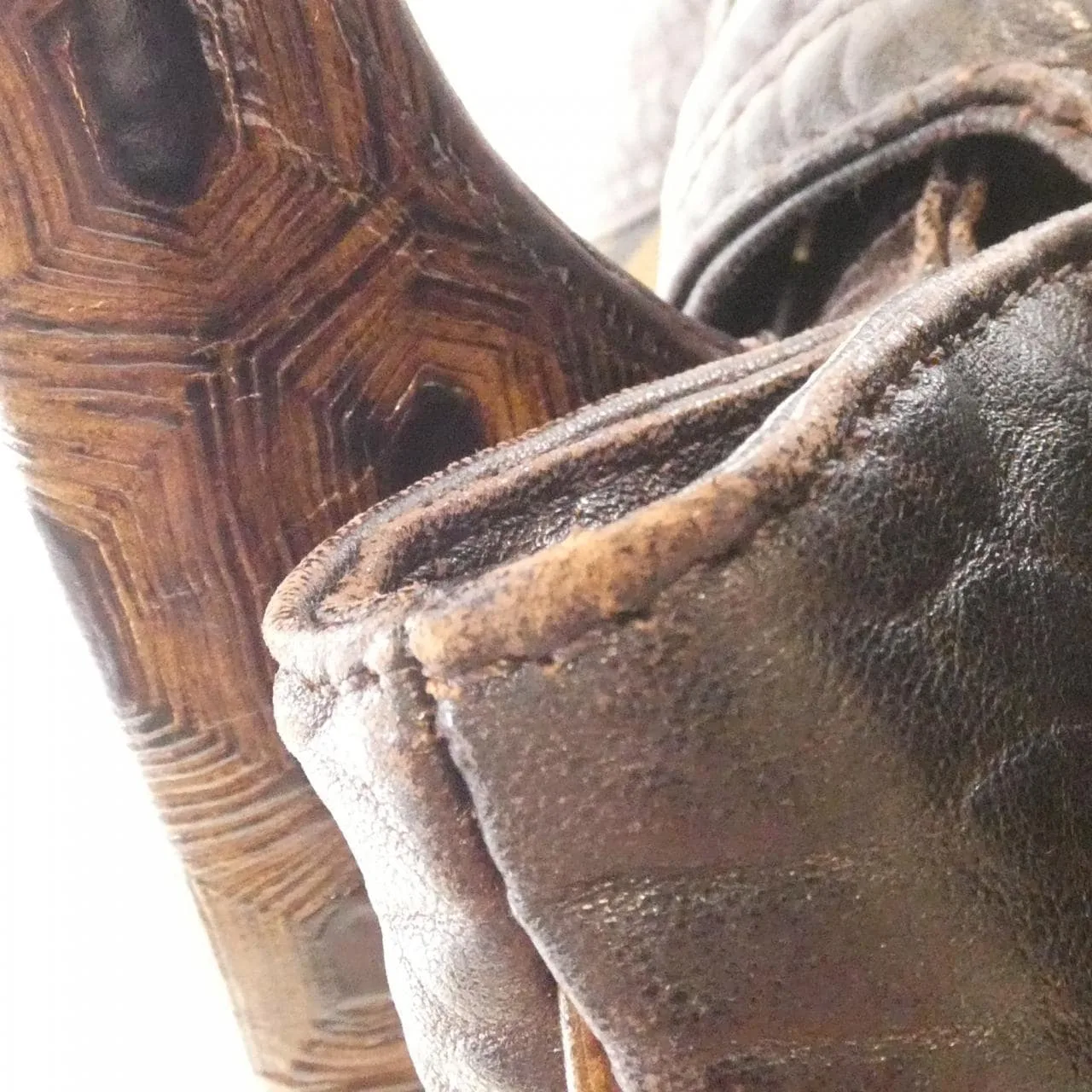 FENDI Baguette 8BR589RPU Handbag Canvas Black Canvas Rank B - Thumbnail 5