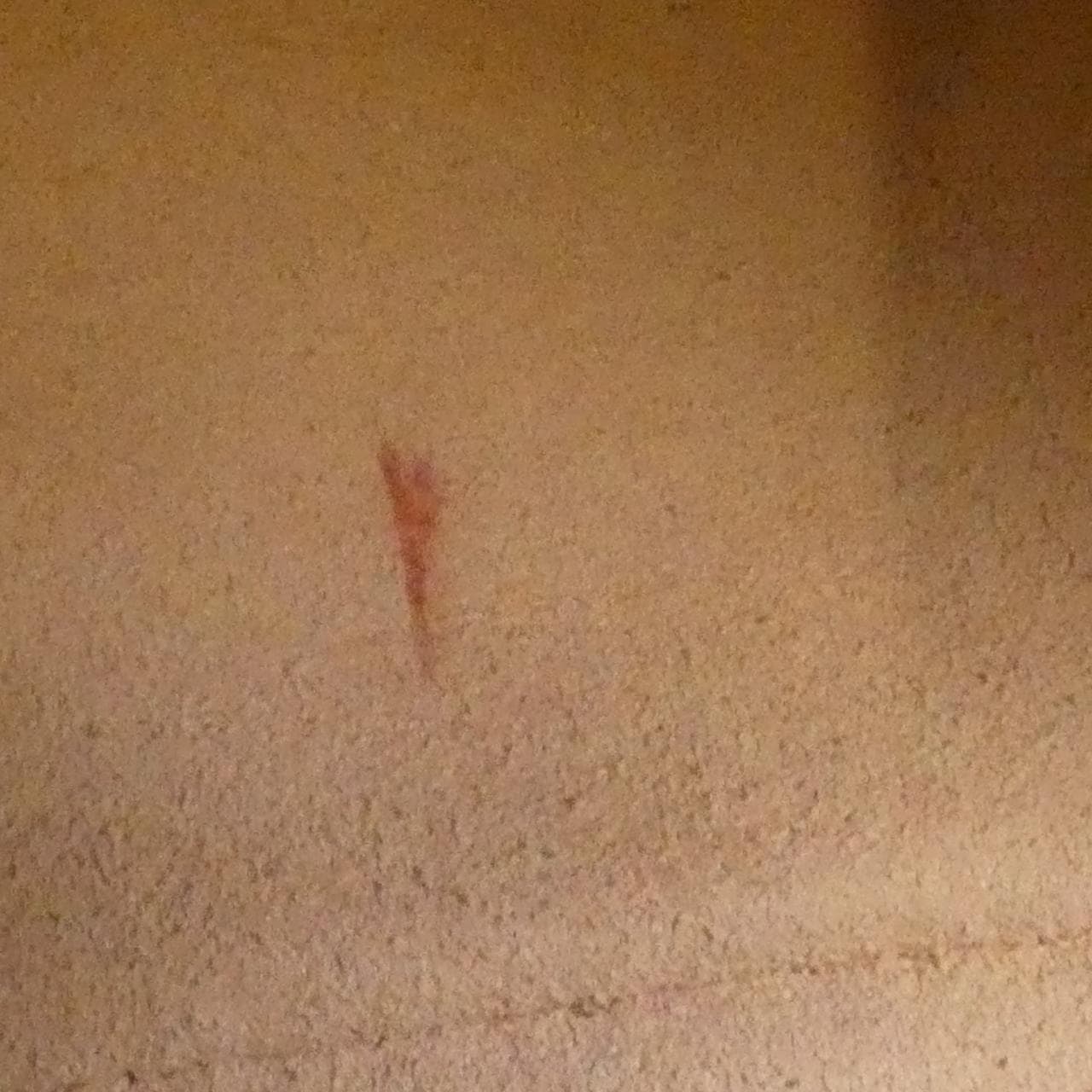 GUCCI Marmont 447632 DTD1Y Shoulder Bag Leather Black Leather - Thumbnail 10