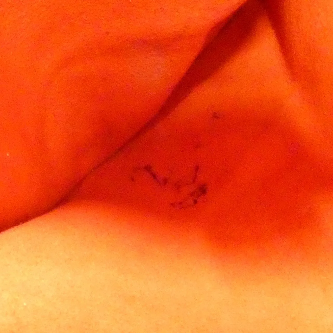 LOUIS VUITTON N51204 Handbag Damier Black Damier Rank B - Thumbnail 9