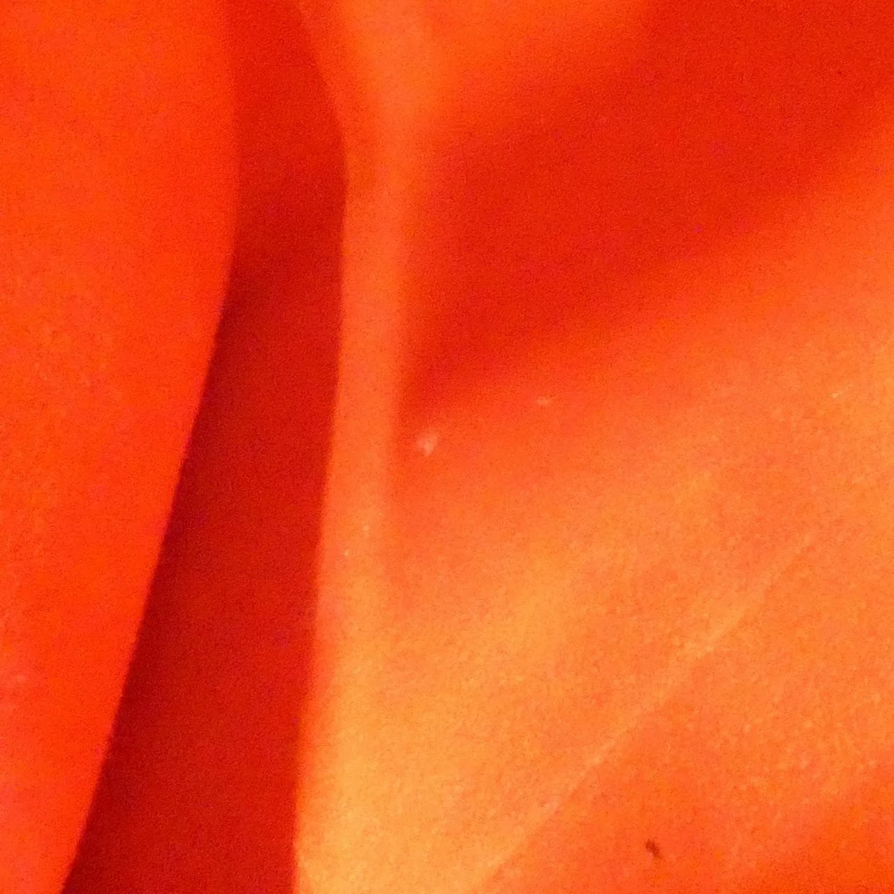 LOUIS VUITTON N51204 Handbag Damier Black Damier Rank B - Thumbnail 10