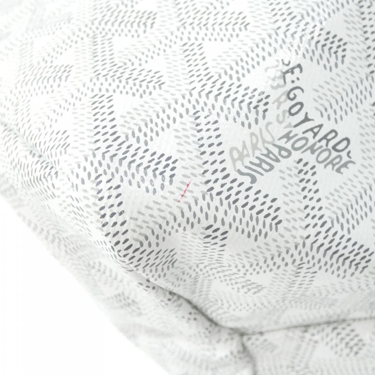 GOYARD Saint Louis AMA LOUIS PM Bag Canvas White Canvas - Thumbnail 4