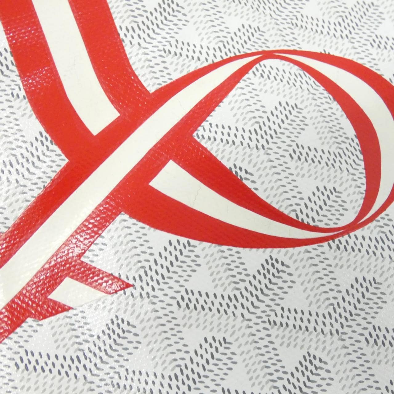 GOYARD Saint Louis AMA LOUIS PM Bag Canvas White Canvas - Thumbnail 5