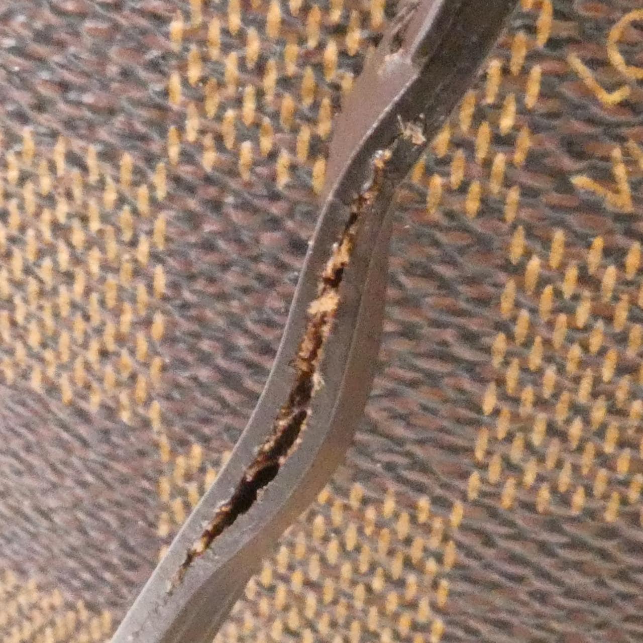 LOUIS VUITTON Neverfull N51105 Tote Damier Black Damier Rank B - Thumbnail 6