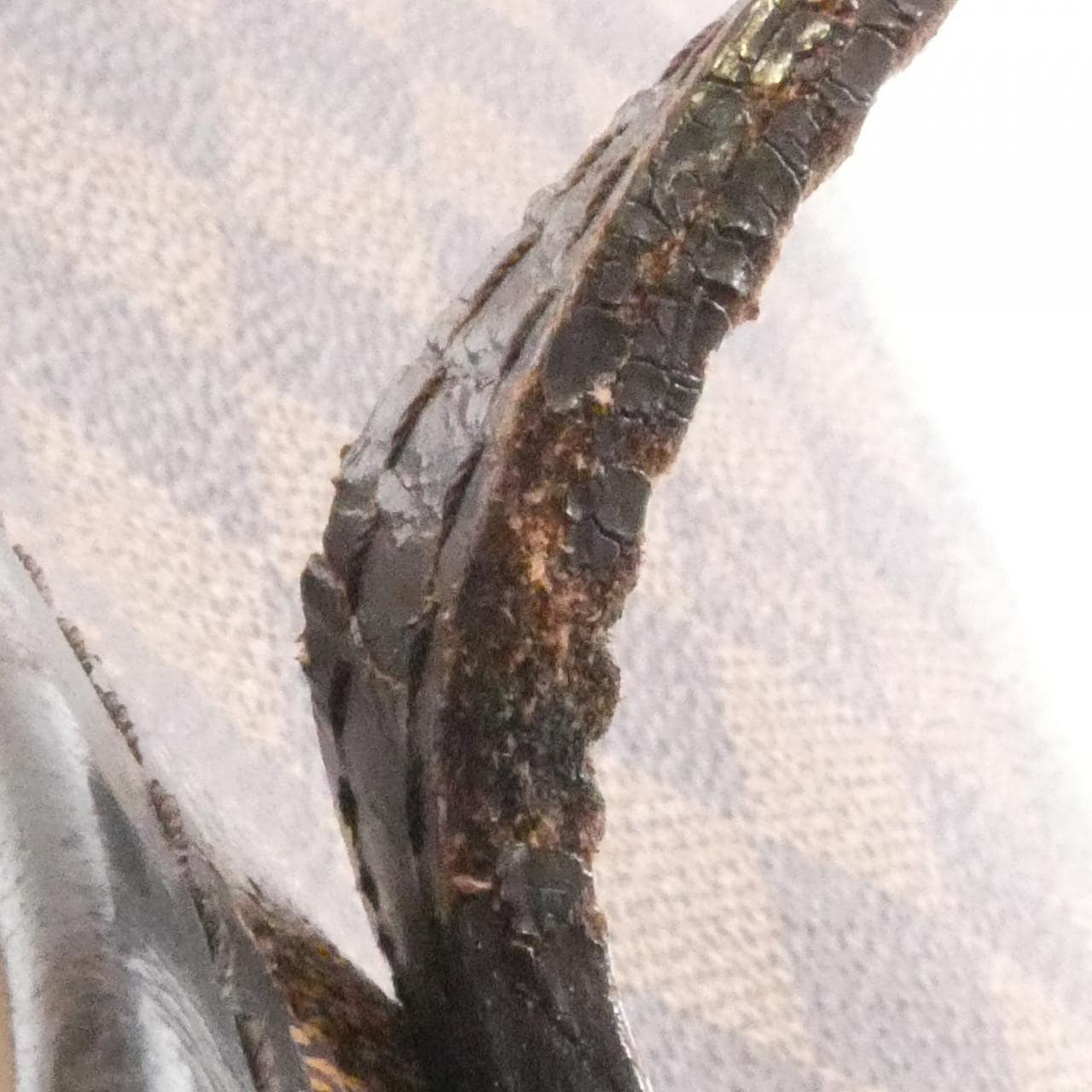 LOUIS VUITTON Neverfull N51105 Tote Damier Black Damier Rank B - Thumbnail 8