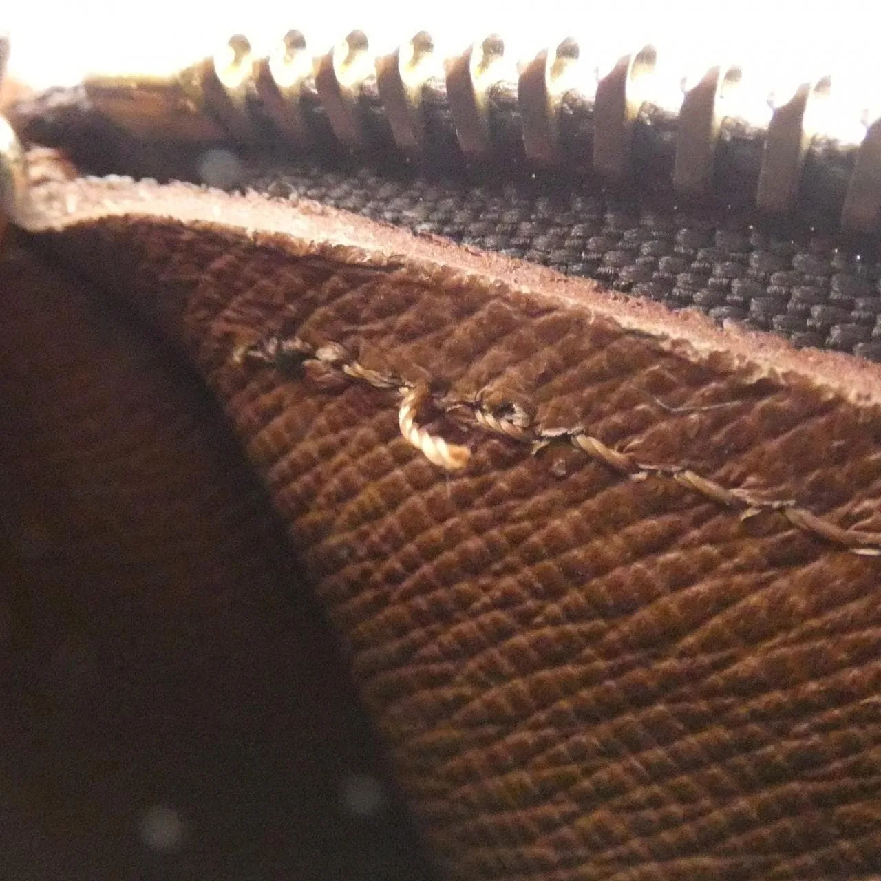 LOUIS VUITTON Papillon M51365 Handbag Monogram 黑色 Monogram 中古品A - 縮圖 8