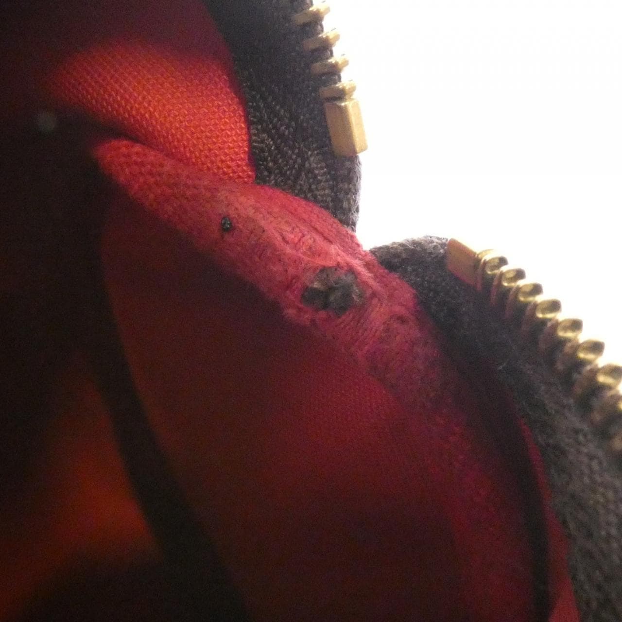 LOUIS VUITTON Speedy N41365 Boston Bag Damier Black Damier Rank B - Thumbnail 10