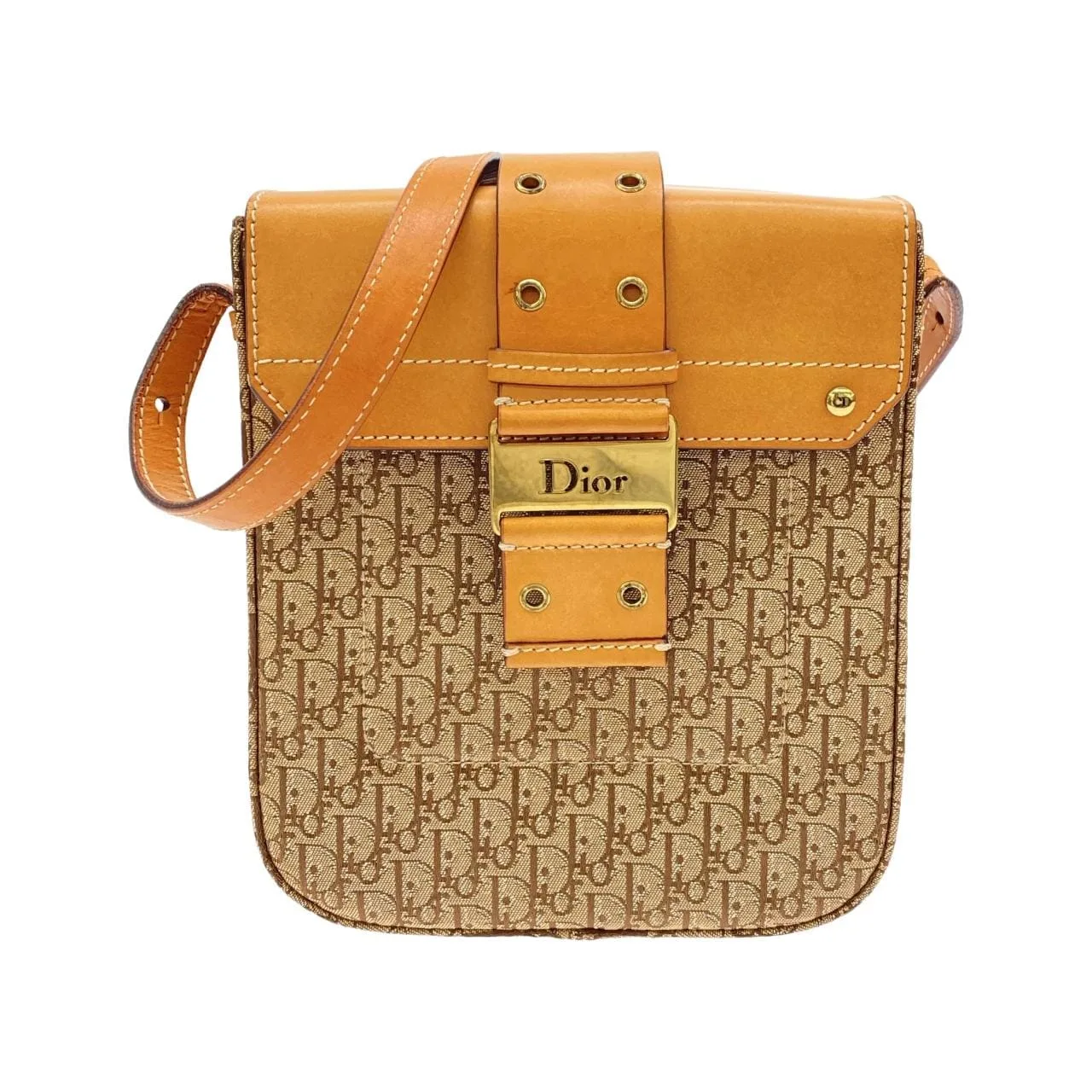 DIOR Shoulder Canvas Beige