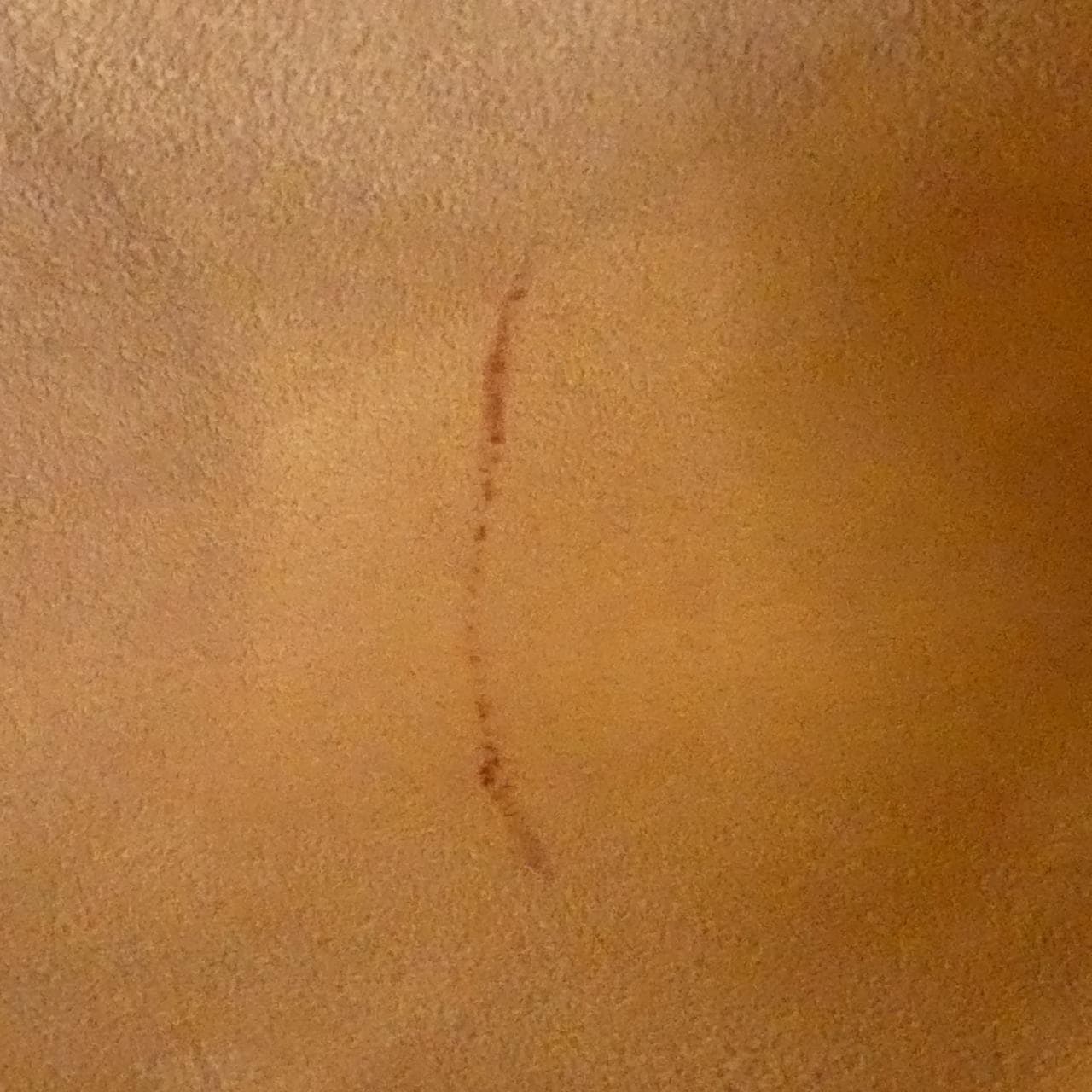 GUCCI 505344 CWGKT Bag Leather Black Leather - Thumbnail 10