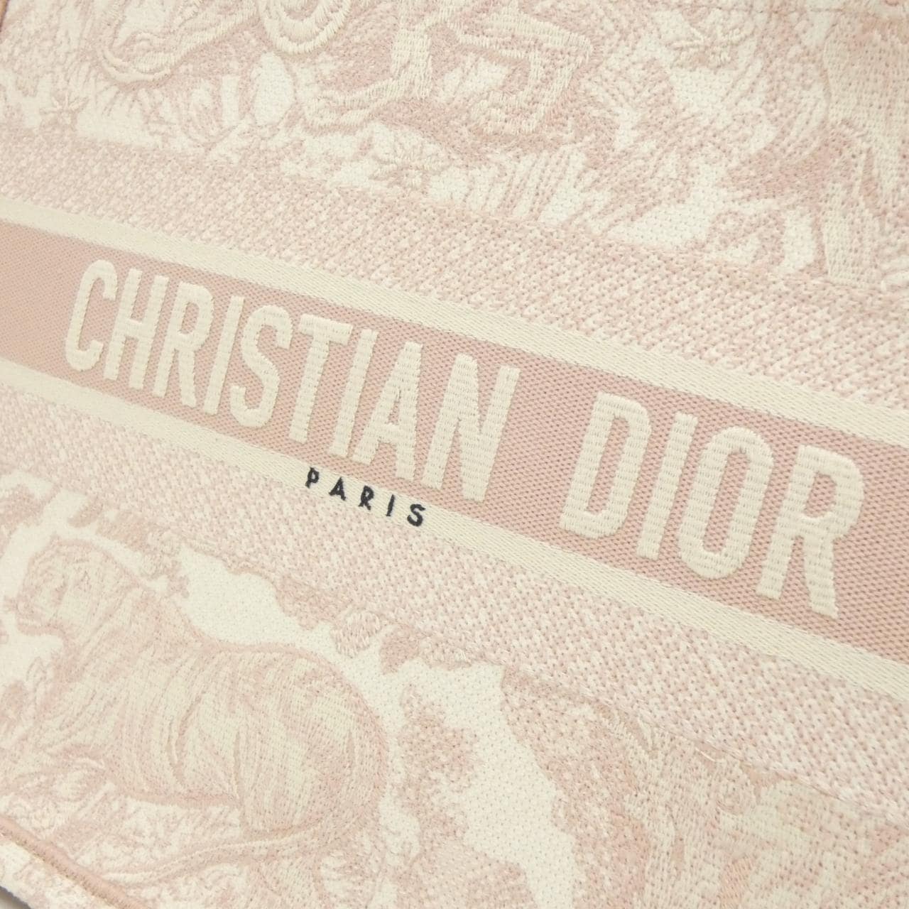 DIOR Book Tote M1296ZTDT Tote Canvas 4