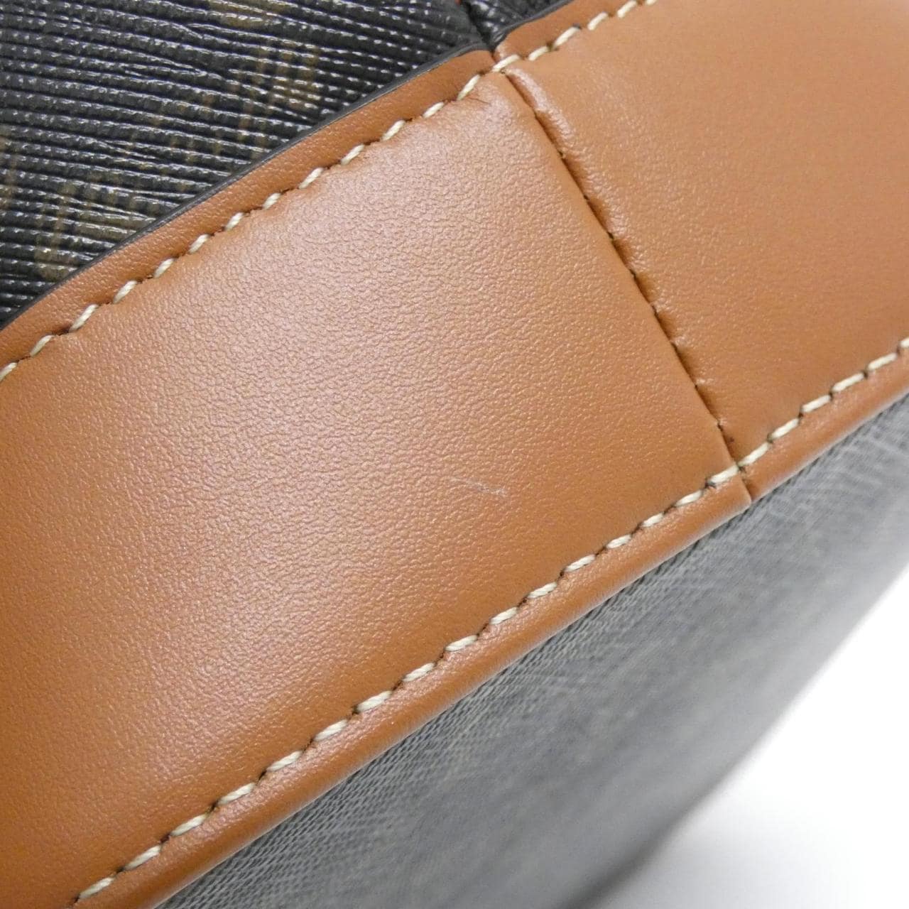 CELINE Triomphe 191442CAS Shoulder Canvas 5