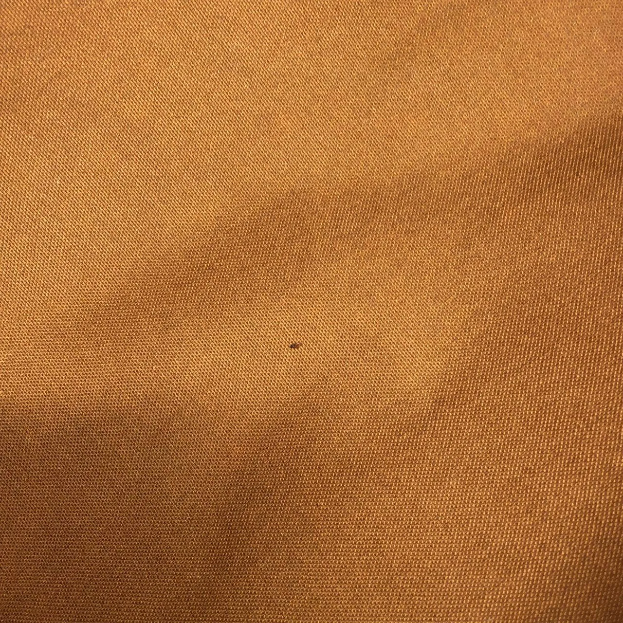 LOUIS VUITTON M95566 肩背包 Monogram 黑色 Monogram 中古品A - 縮圖 9