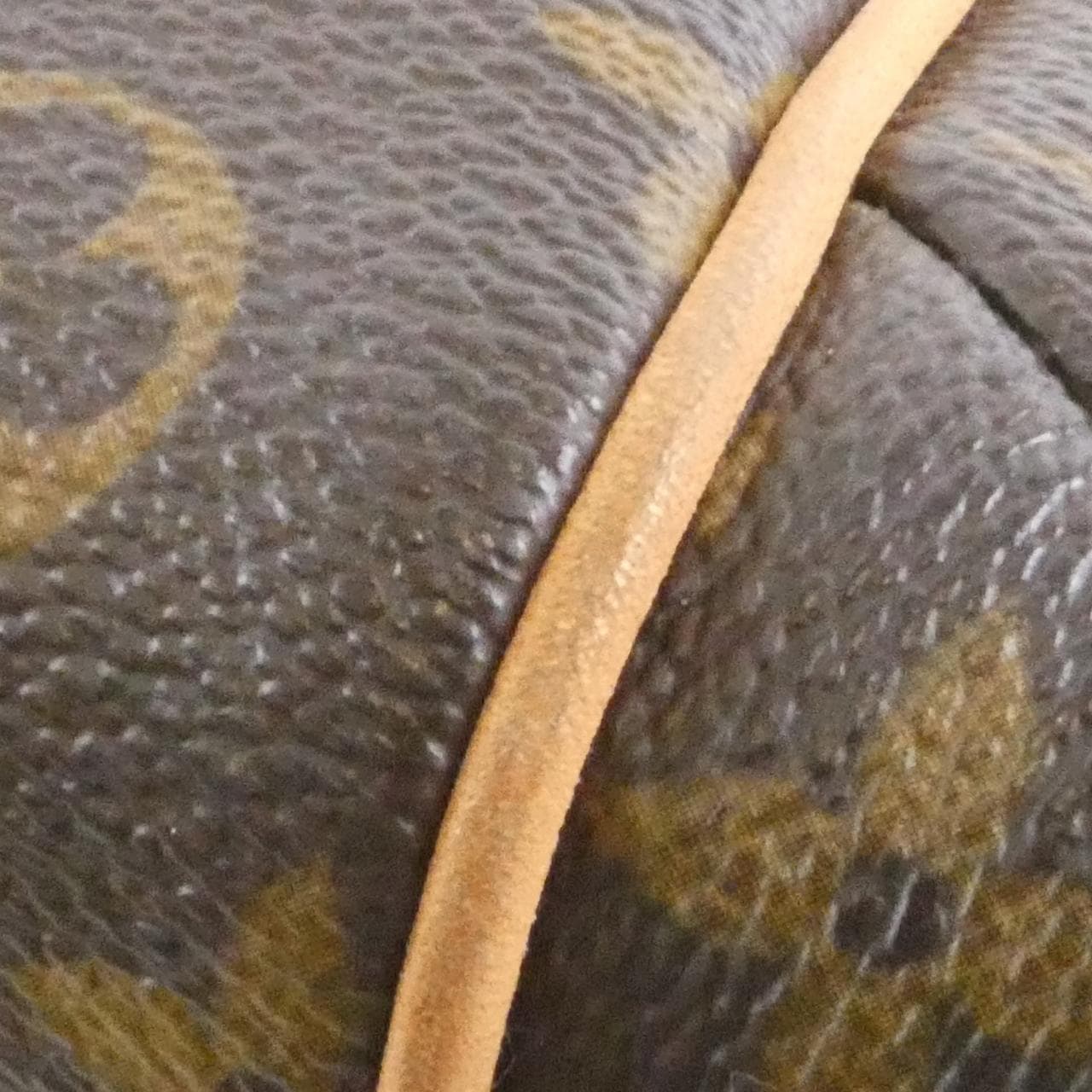 LOUIS VUITTON Totally M56688 Handbag Monogram 3