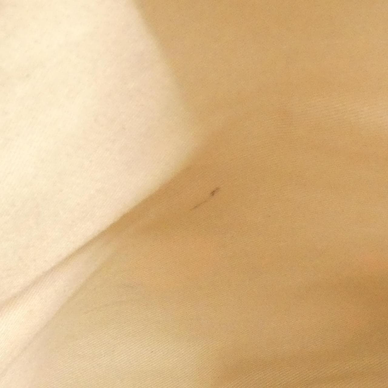 CELINE Bag Canvas 紅色 帆布 - 縮圖 10