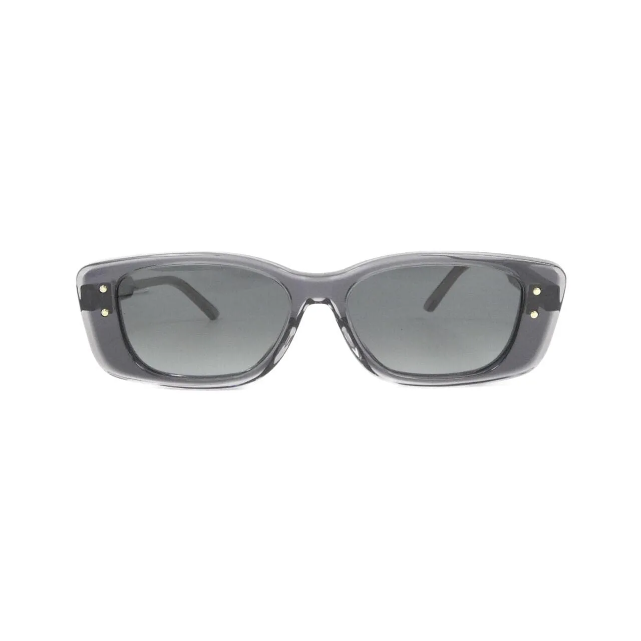 DIOR DIORHIGHLIGHT S2I Sunglasses