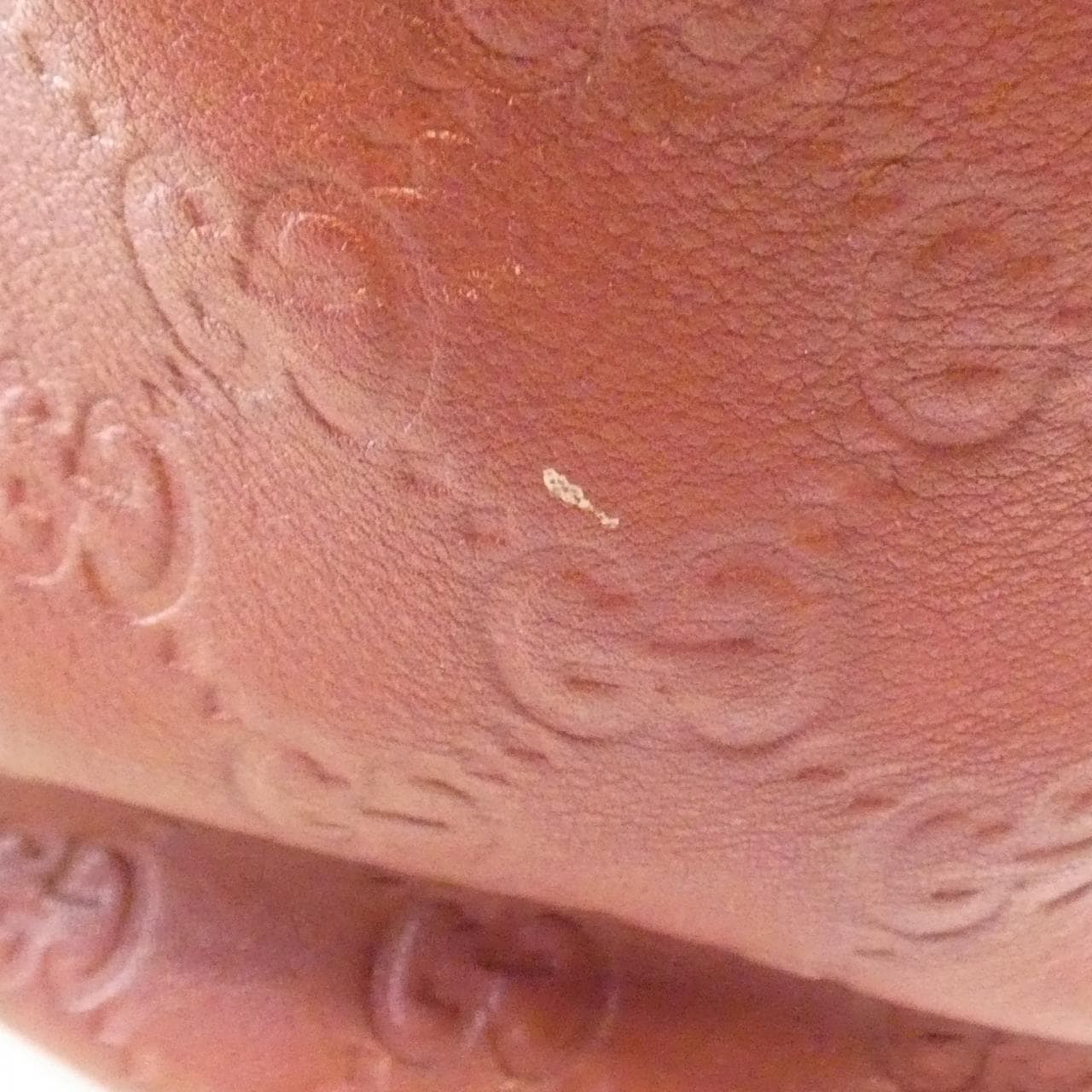 GUCCI 207291 Bag Leather Brown Leather Rank B - Thumbnail 4