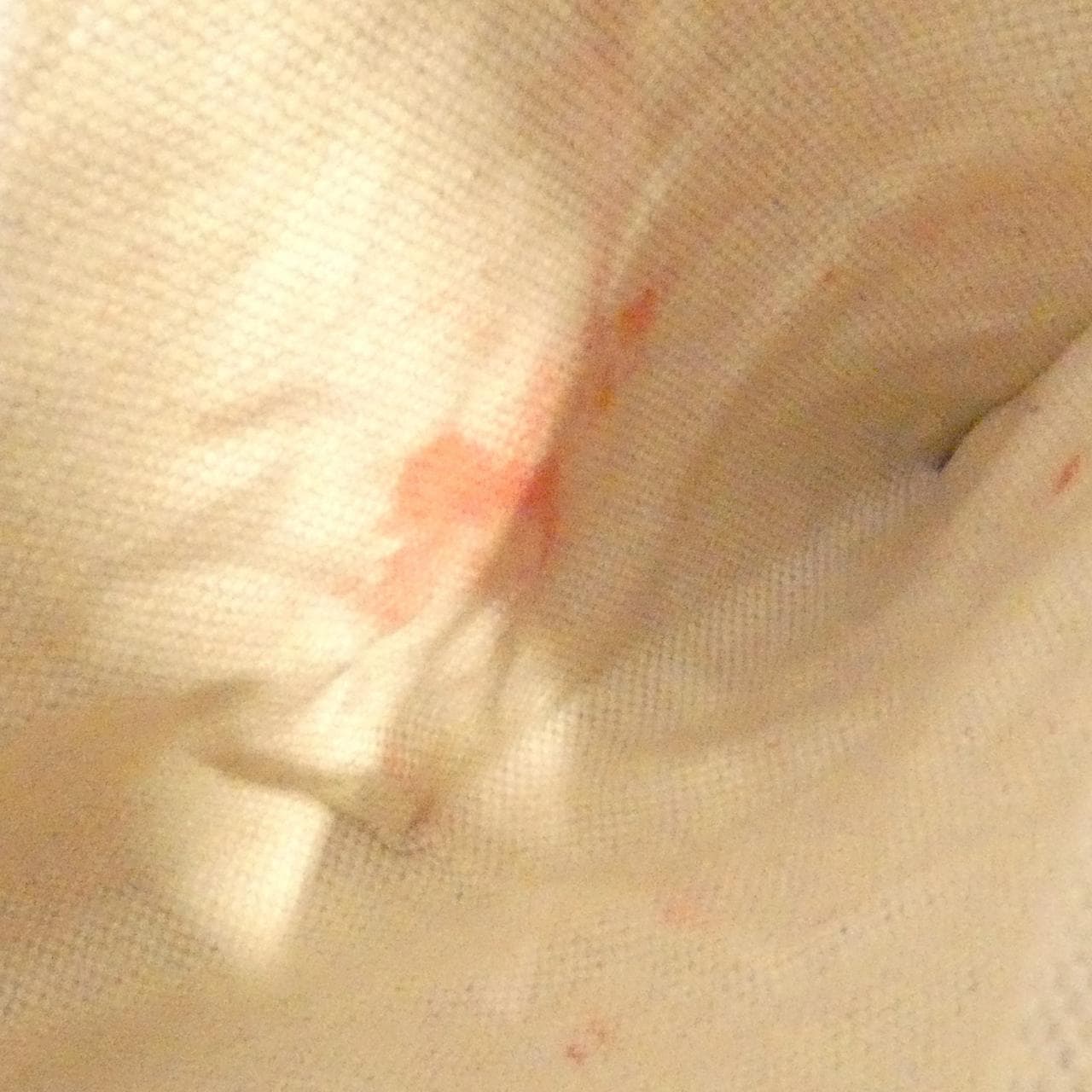 GUCCI 277514 ANK0G Bag Leather 黑色 皮革 中古品B - 縮圖 10