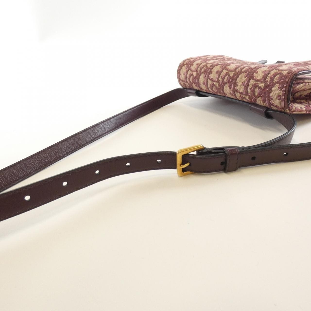 DIOR Saddle S5619CTZQ Belt Bag Canvas Black Canvas - Thumbnail 6