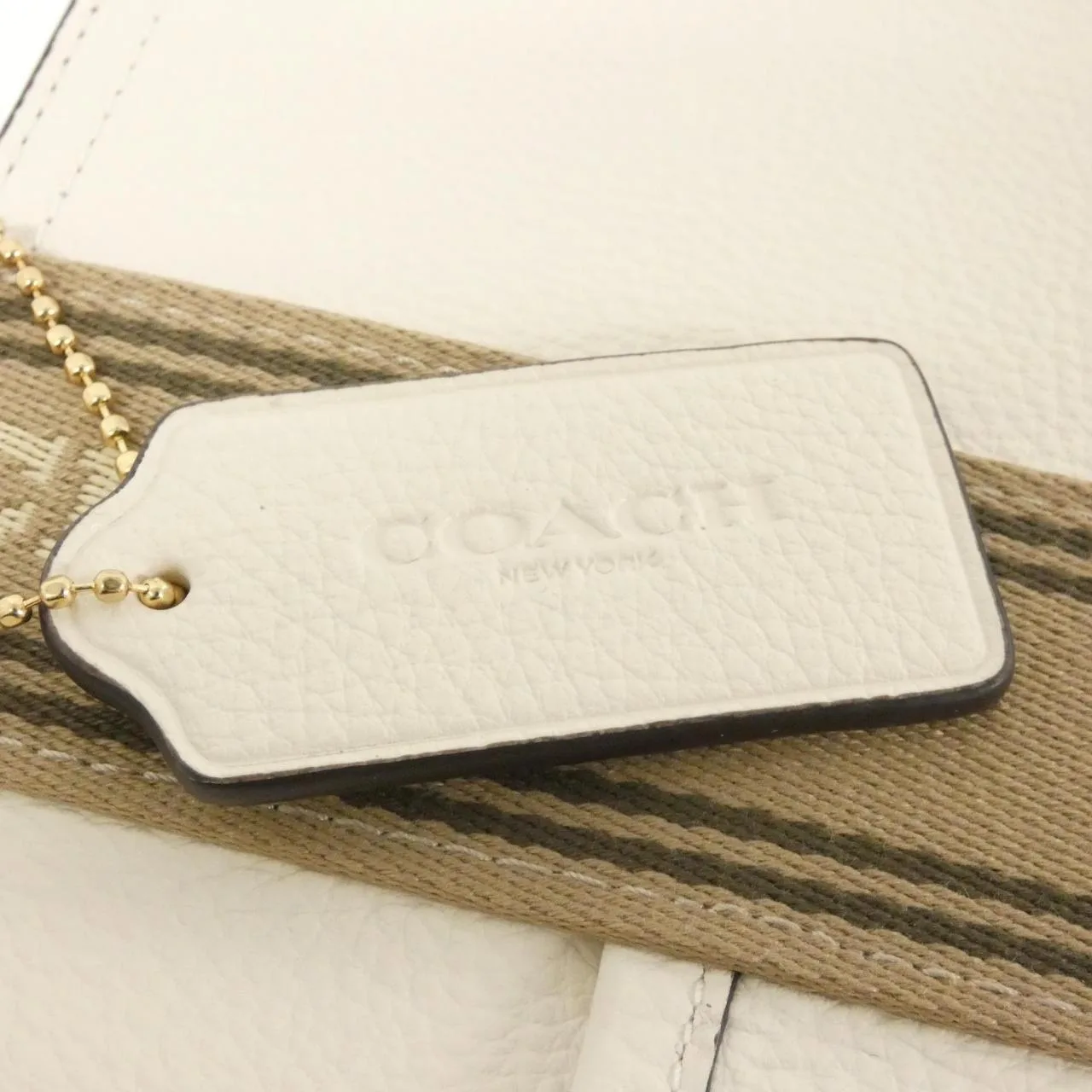 COACH CBM10 Handbag Leather