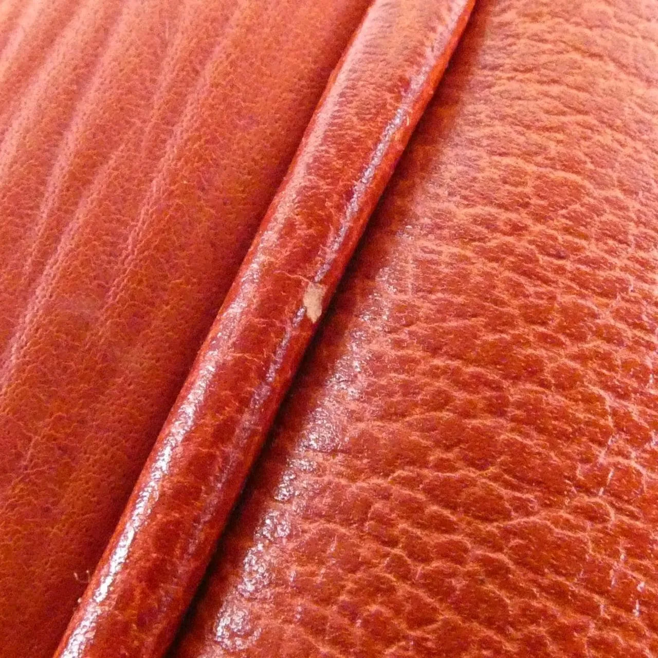 LOEWE Shoulder Leather 紅色 皮革 中古品B - 縮圖 6