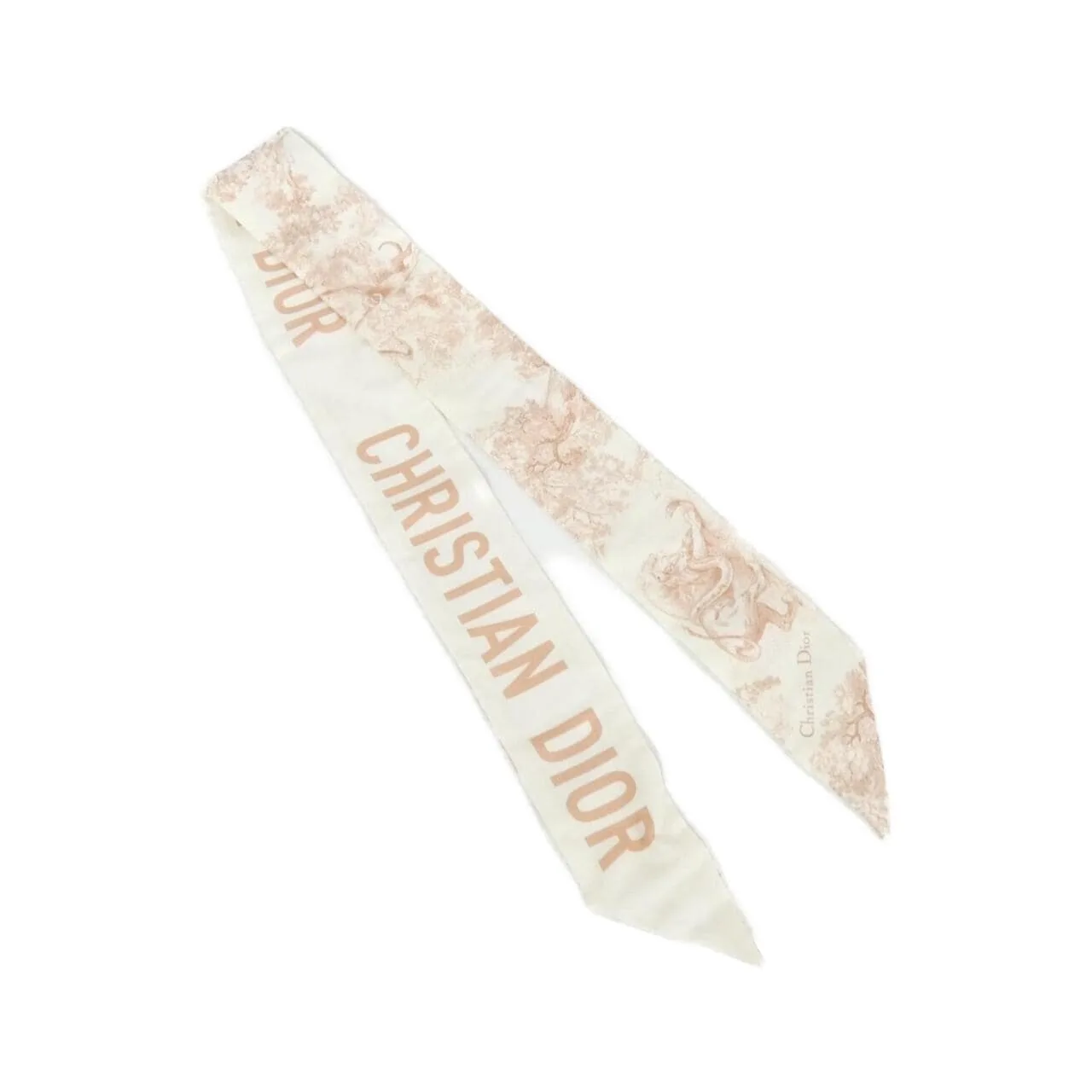 DIOR 94TOJ106I600 Scarf