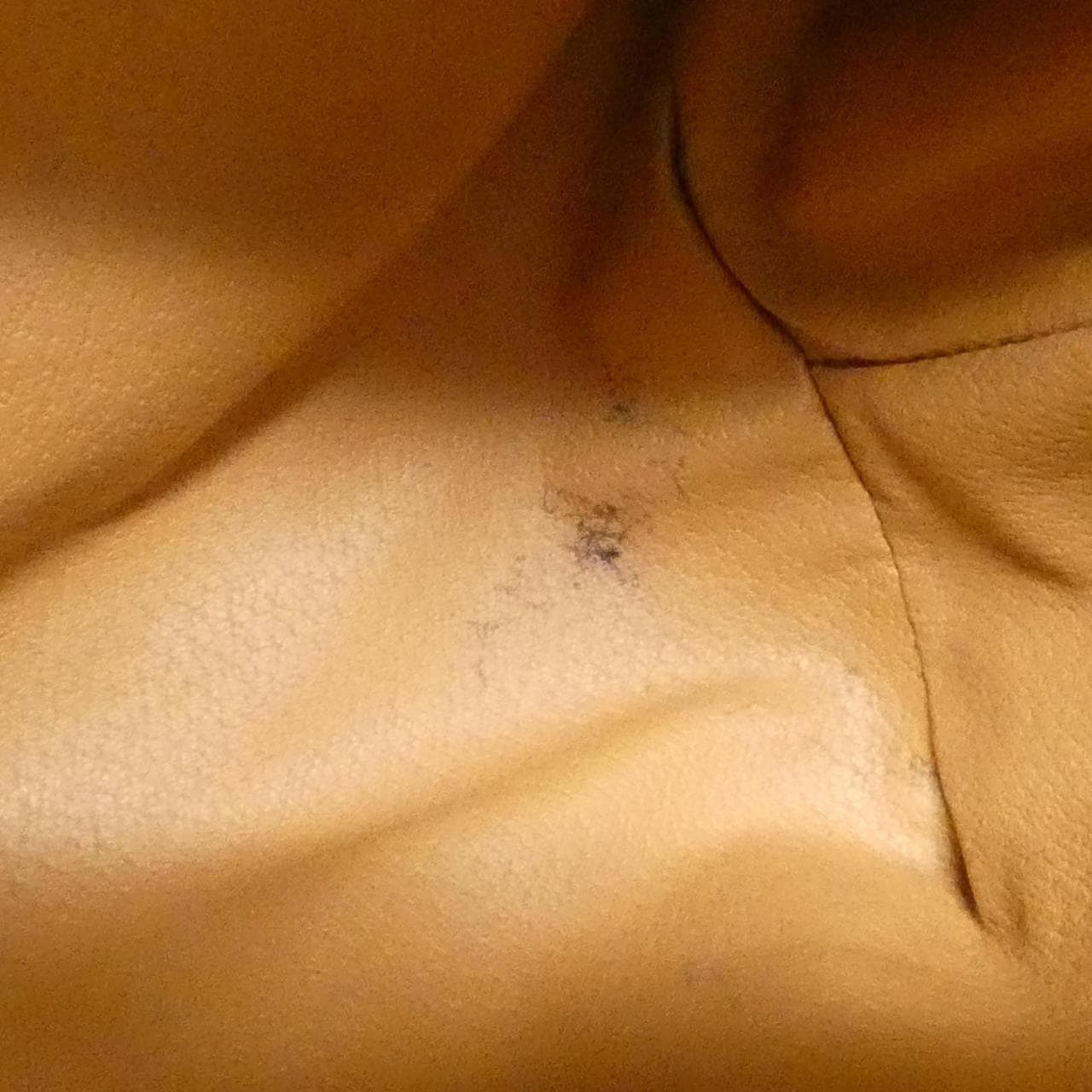 CELINE Bag Canvas Brown Canvas - Thumbnail 10