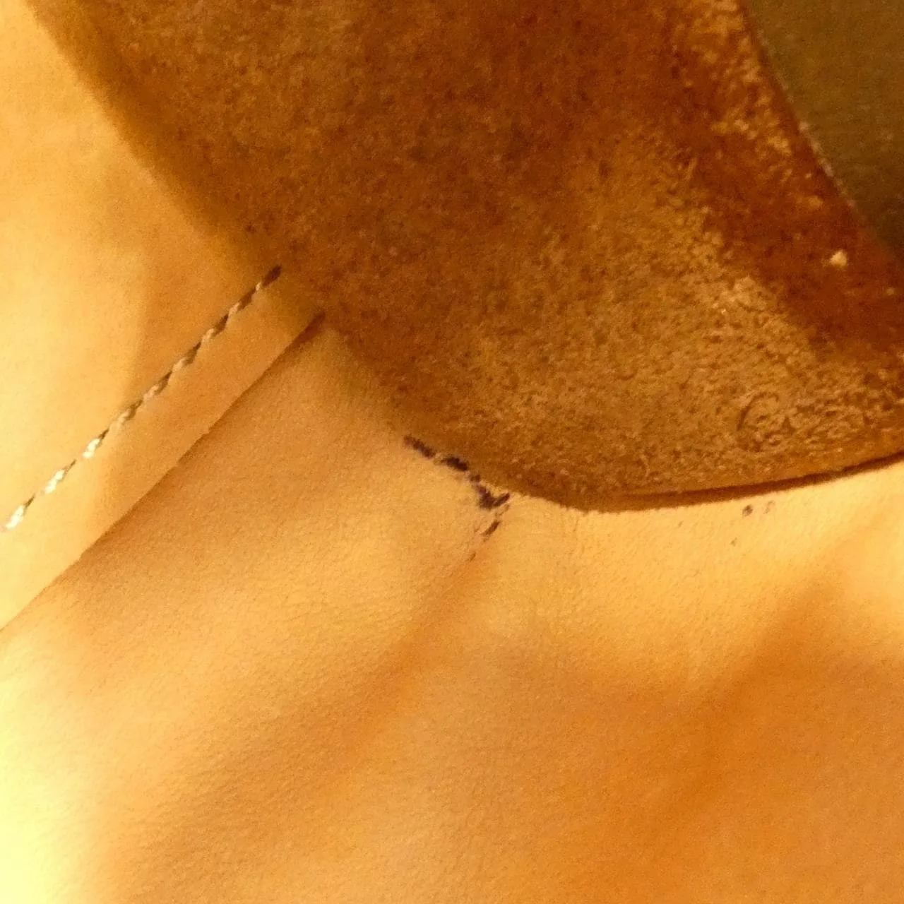 LOEWE Amazona Handbag 米色 中古品B - 縮圖 10