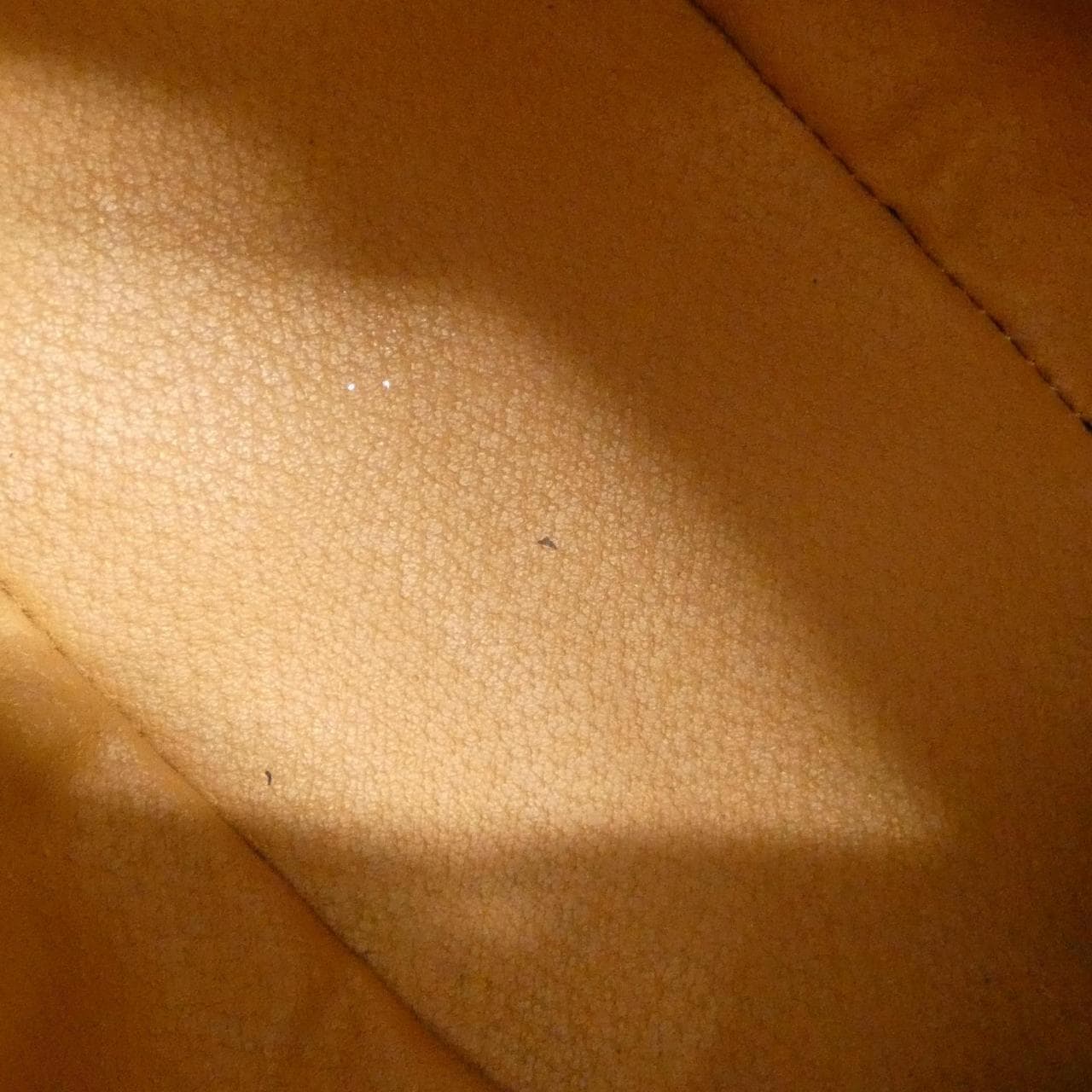 CELINE Bag Canvas 棕色 帆布 中古品A - 縮圖 9