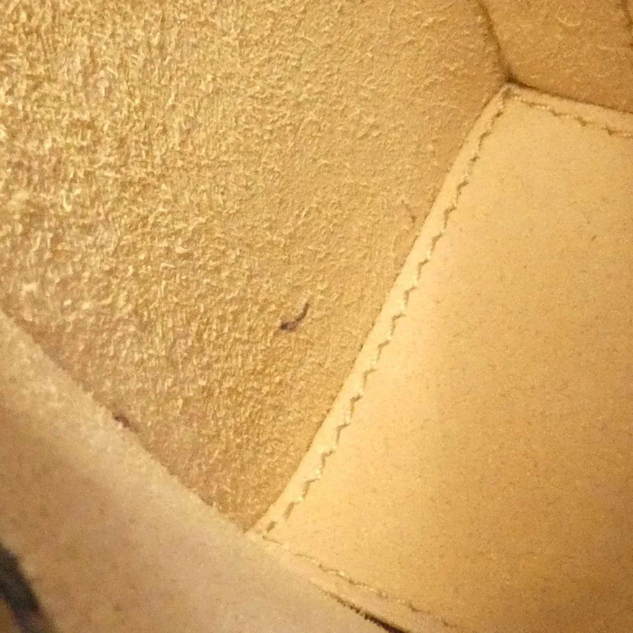 GUCCI Horsebit 1955 732314 DJ20G Shoulder Leather Black Leather Rank B - Thumbnail 8