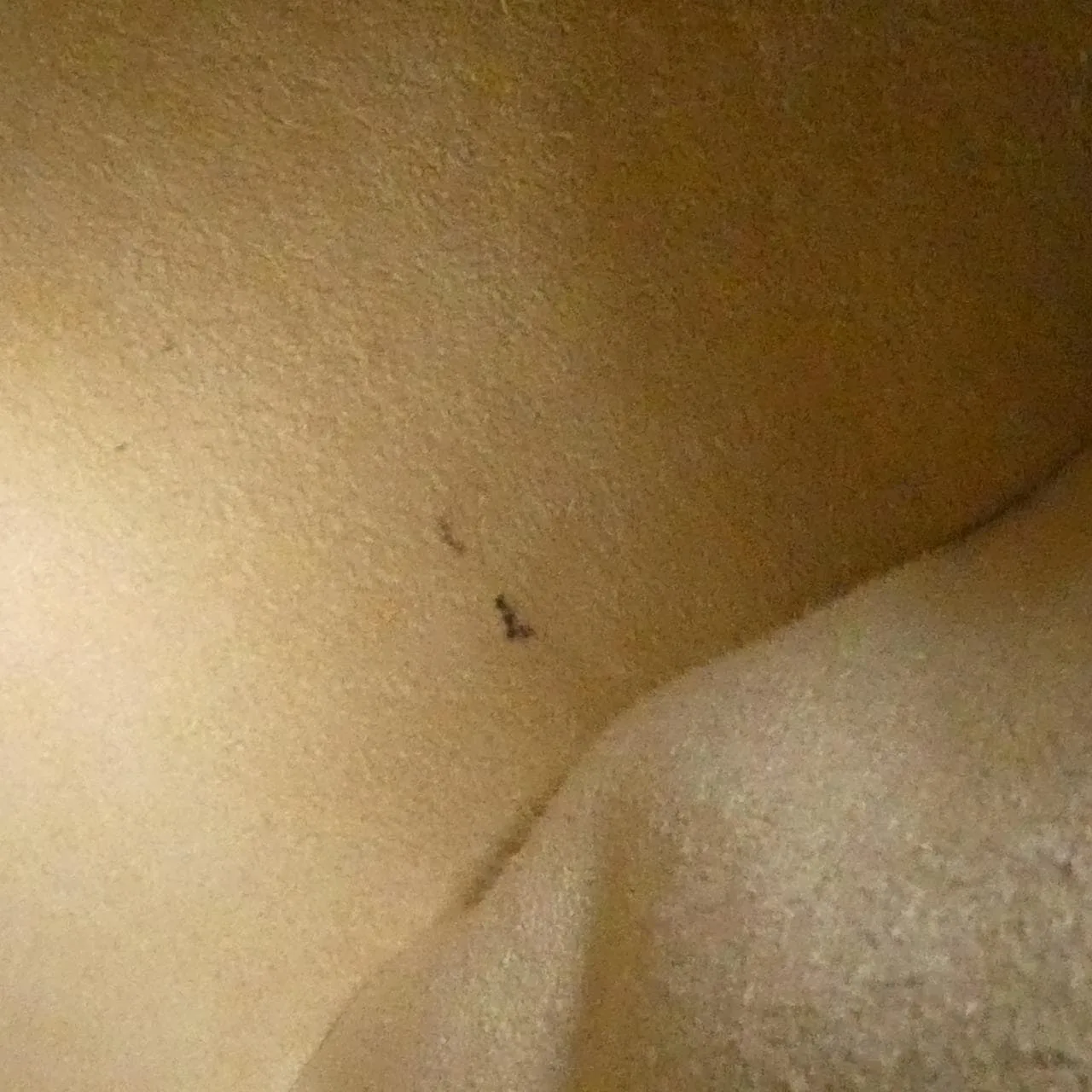 LOUIS VUITTON Looping M51146 Shoulder Monogram Black Monogram Rank B - Thumbnail 9