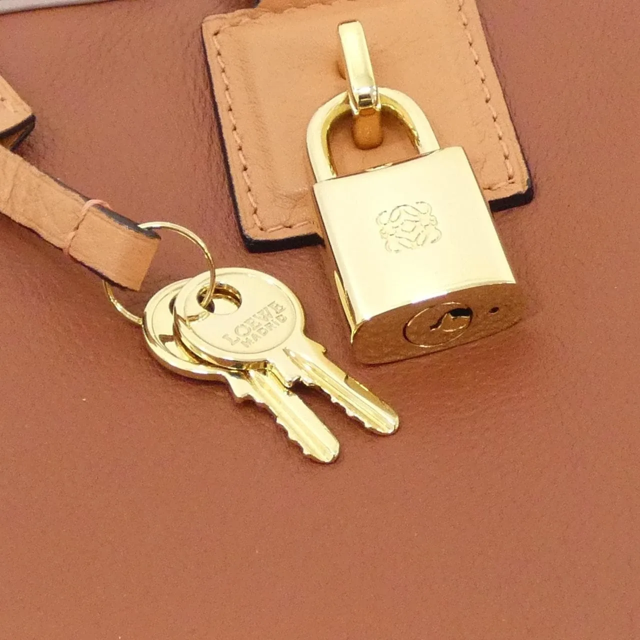 LOEWE Amazona 352 69LA22 Handbag 黑色 中古品A - 縮圖 4