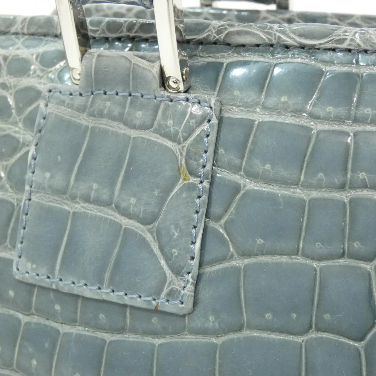 LOEWE Amazona Handbag Crocodile 藍色 鱷魚皮 中古品A - 縮圖 5