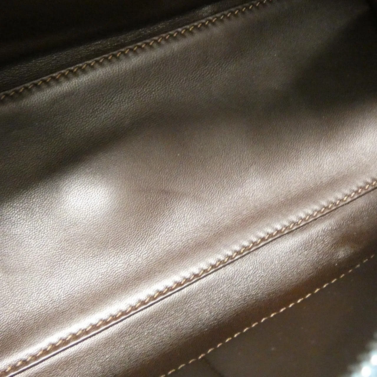 LOEWE Amazona Handbag Crocodile 藍色 鱷魚皮 中古品A - 縮圖 10