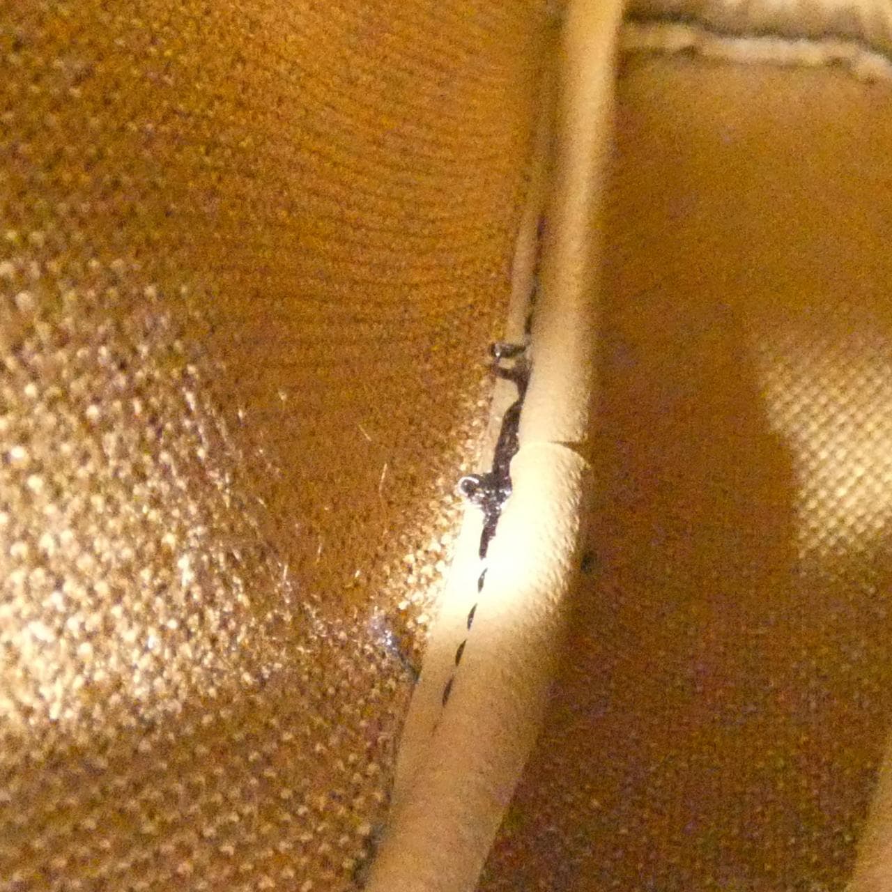 DIOR Shoulder Bag Canvas Brown Canvas - Thumbnail 8