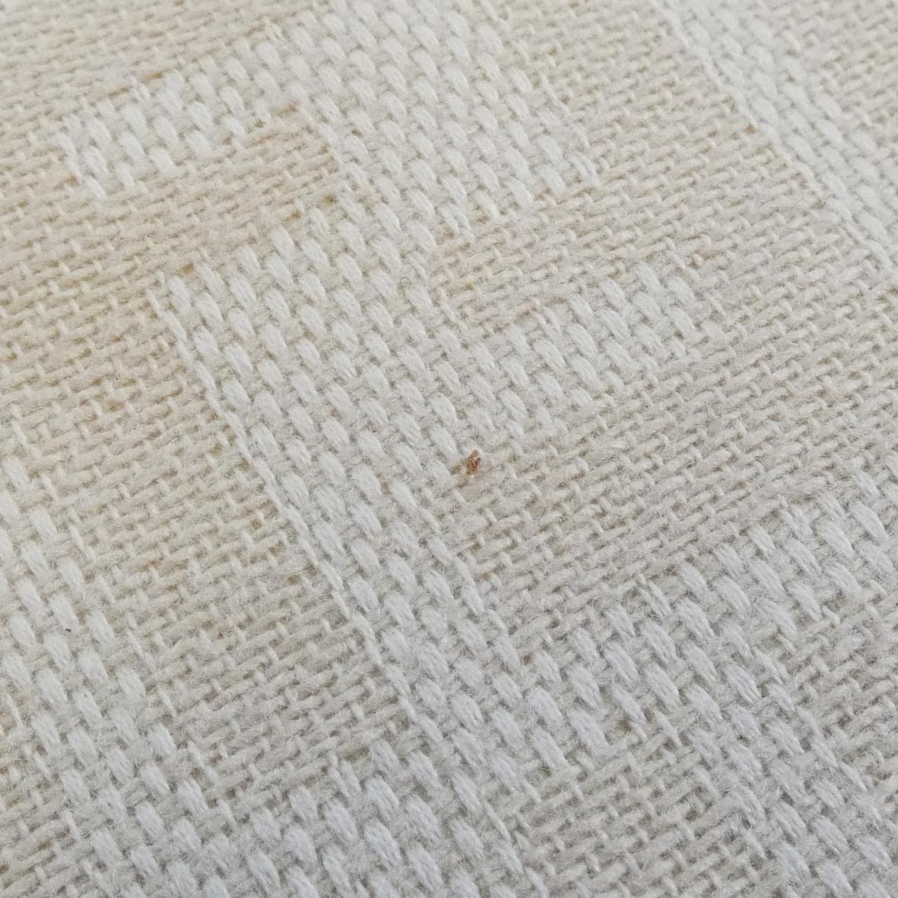 FENDI Baguette 26424 Shoulder Bag Canvas 米色 帆布 中古品B - 縮圖 4