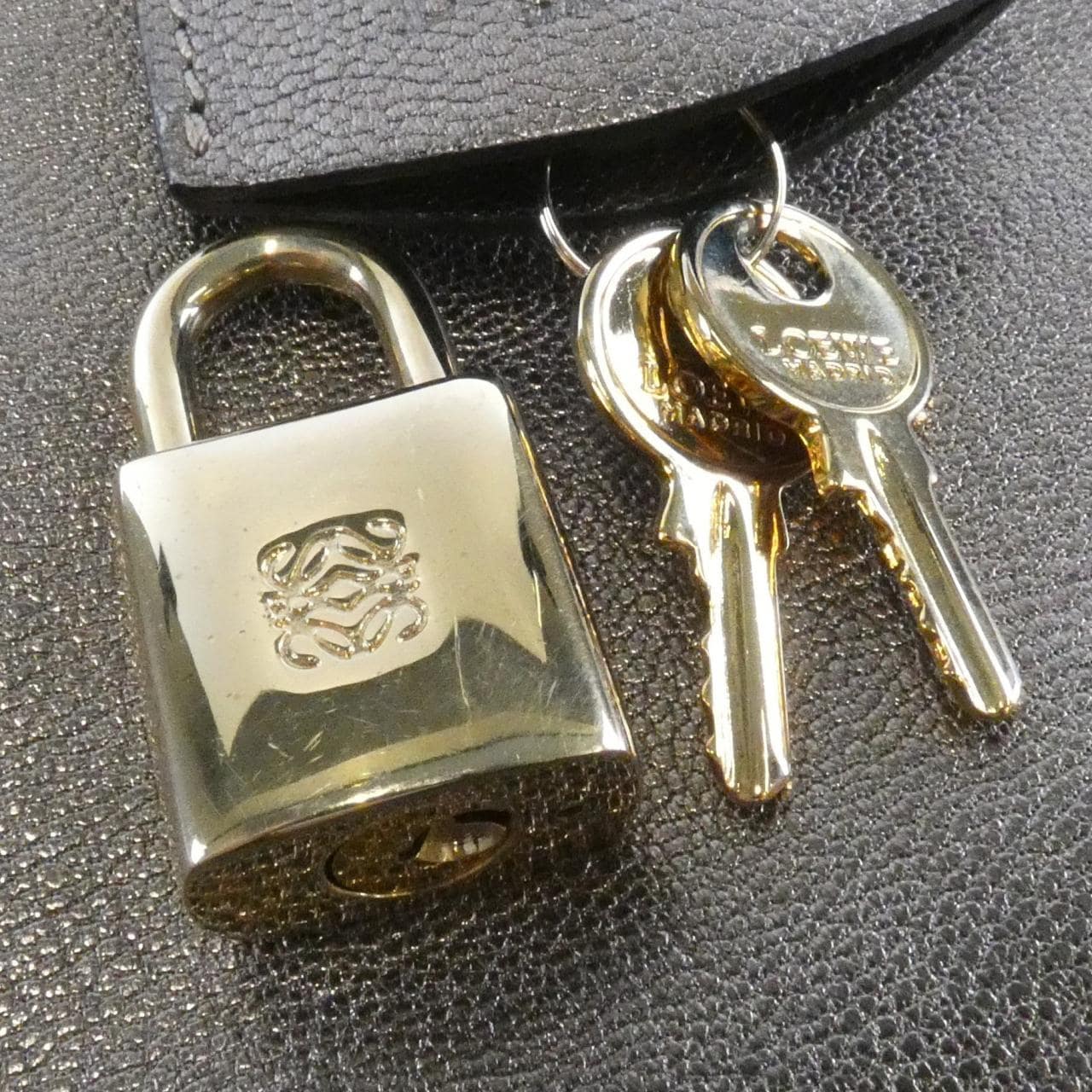 LOEWE Amazona Handbag 4