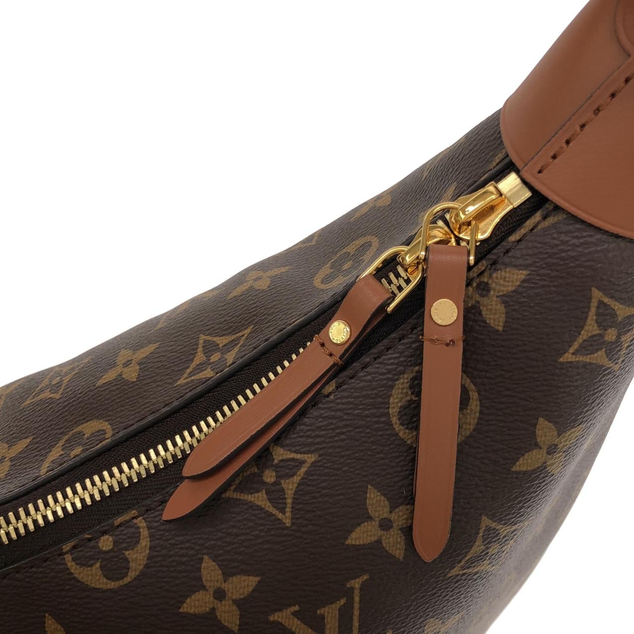 LOUIS VUITTON M46311 肩背包 Monogram 4