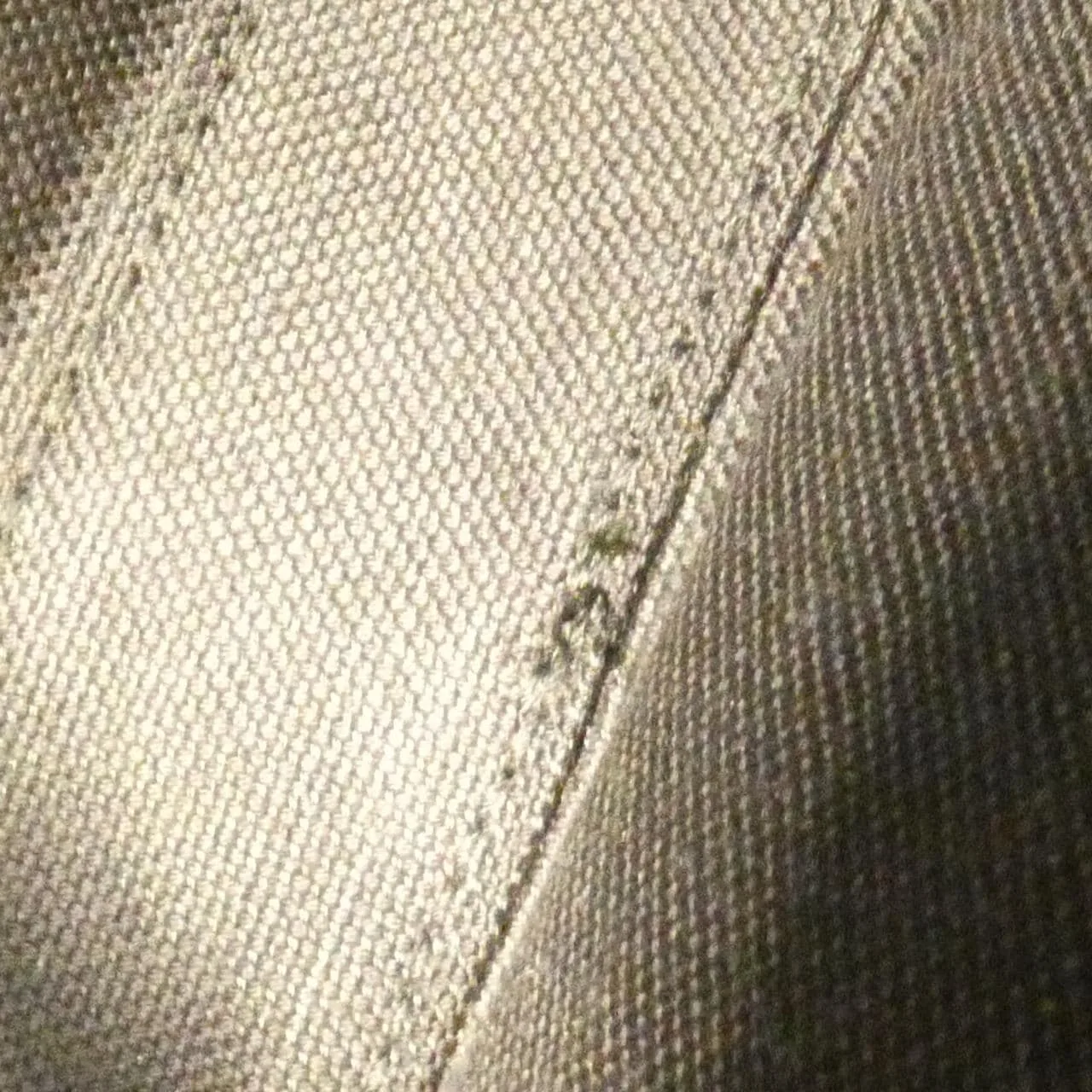 GUCCI 795465 FADJK Shoulder Canvas Black Canvas Rank A - Thumbnail 6