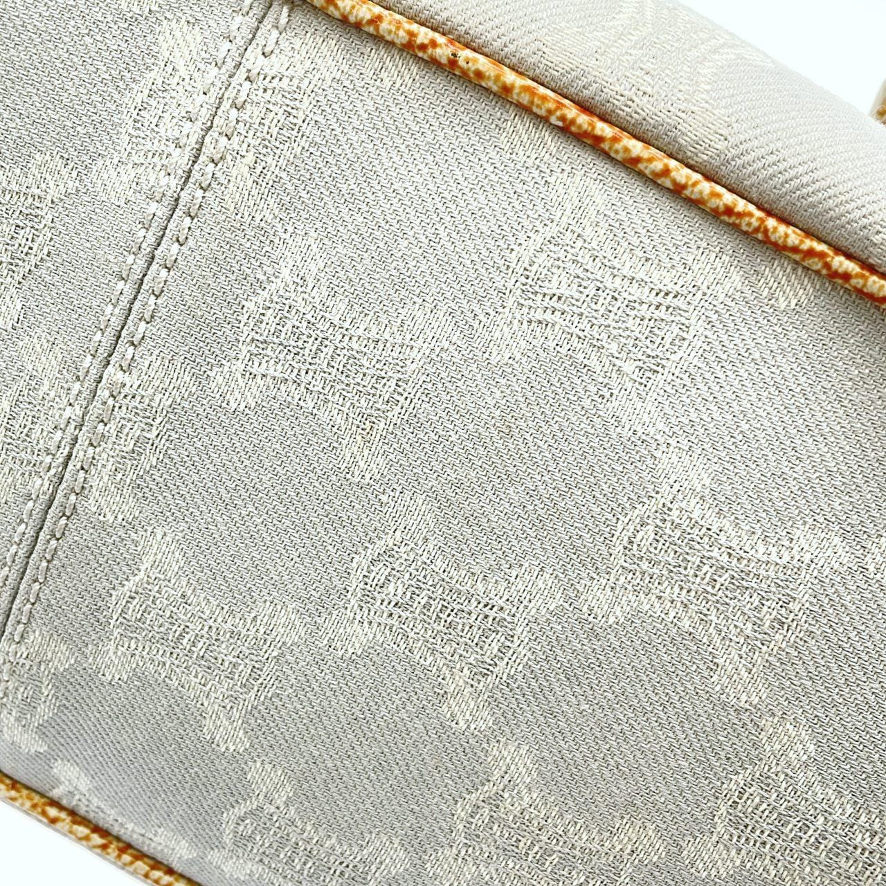 CELINE Boogie Handbag Canvas 5