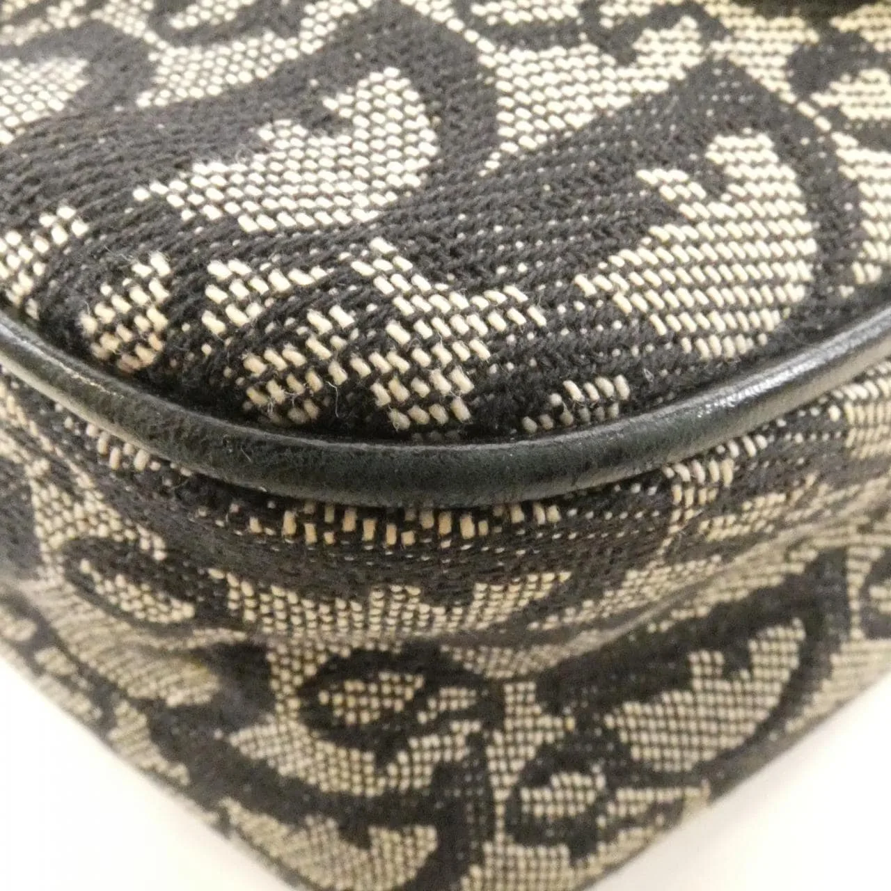 DIOR Shoulder Canvas 黑色 帆布 中古品B - 縮圖 3