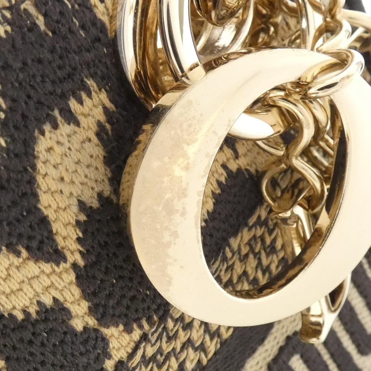 DIOR Lady Dior M0500ORHM 手提包 帆布 5