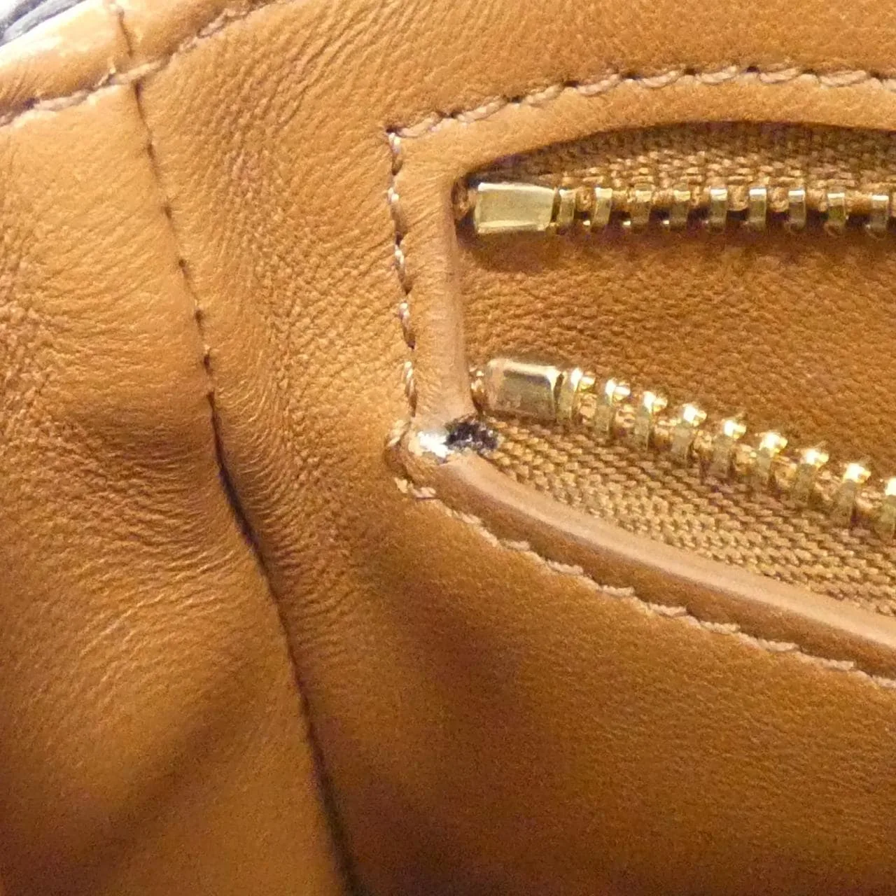 CELINE Triomphe 188882BZ4 Shoulder Canvas
