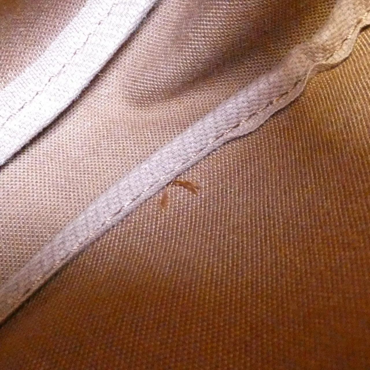 LOUIS VUITTON Saumur M42256 Shoulder Monogram Black Monogram Rank B - Thumbnail 10