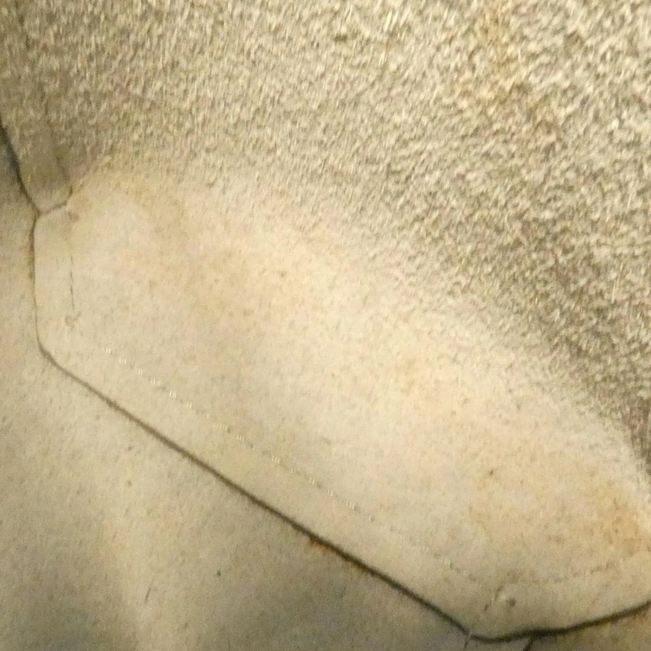 CELINE Belt Bag 189003ZVA Handbag Black Rank B - Thumbnail 9