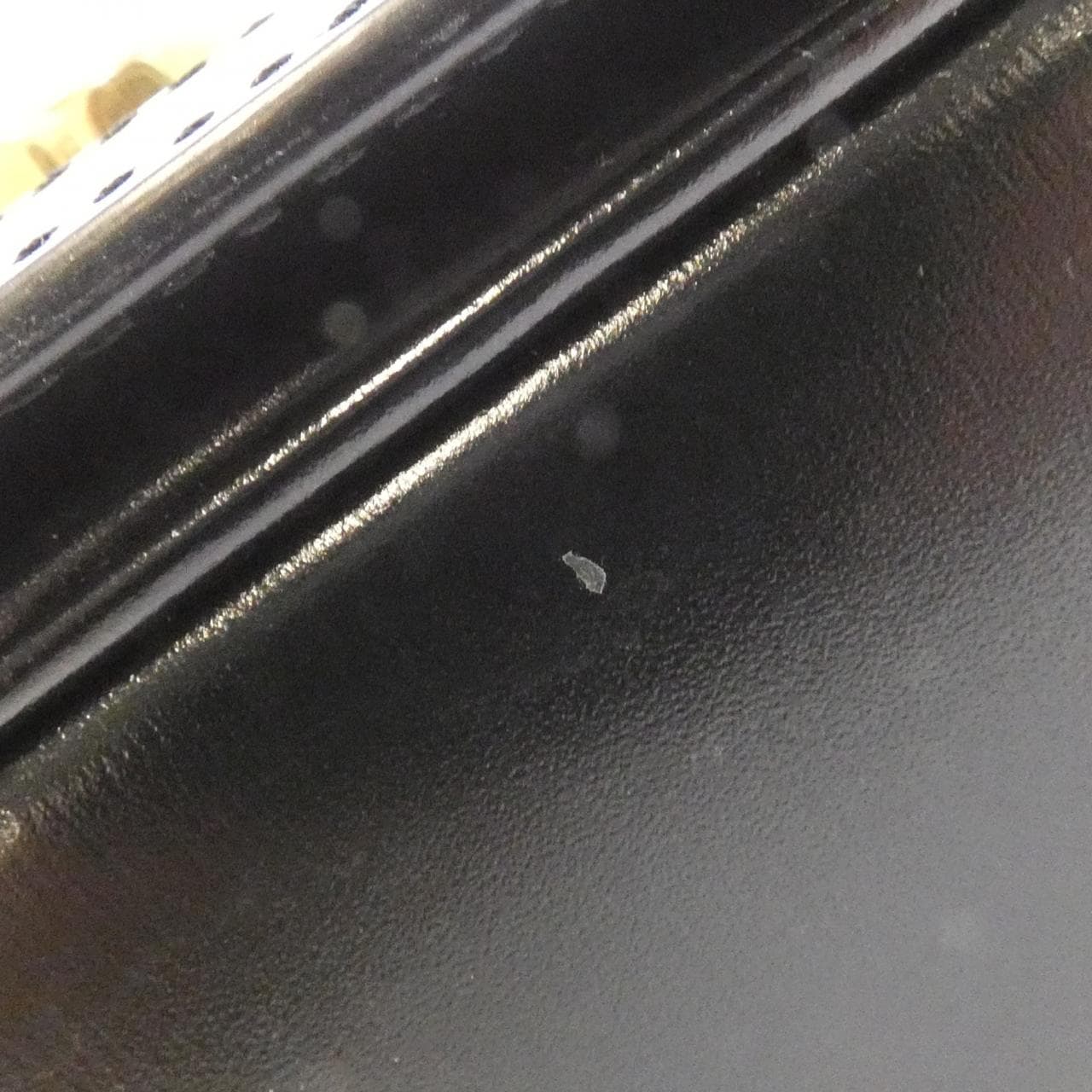 CELINE Triomphe 肩背包 帆布 4
